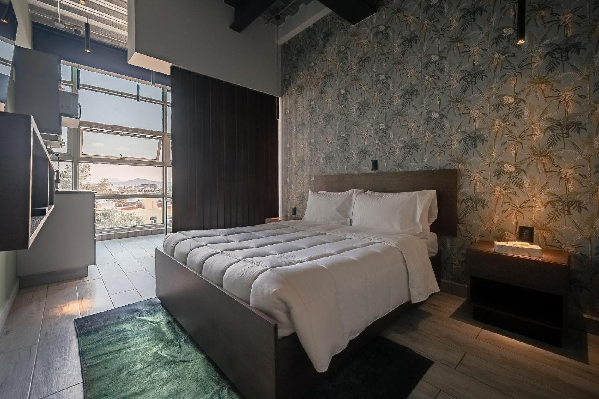 Apartment The Jungle Loft Tropical Comfort In A Centric Location With Kitchen *