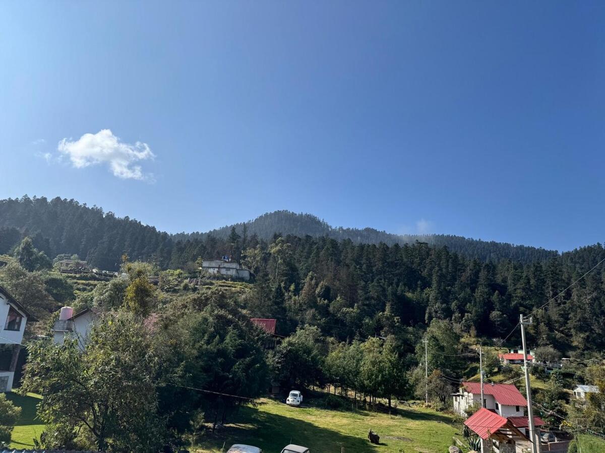 Cedros