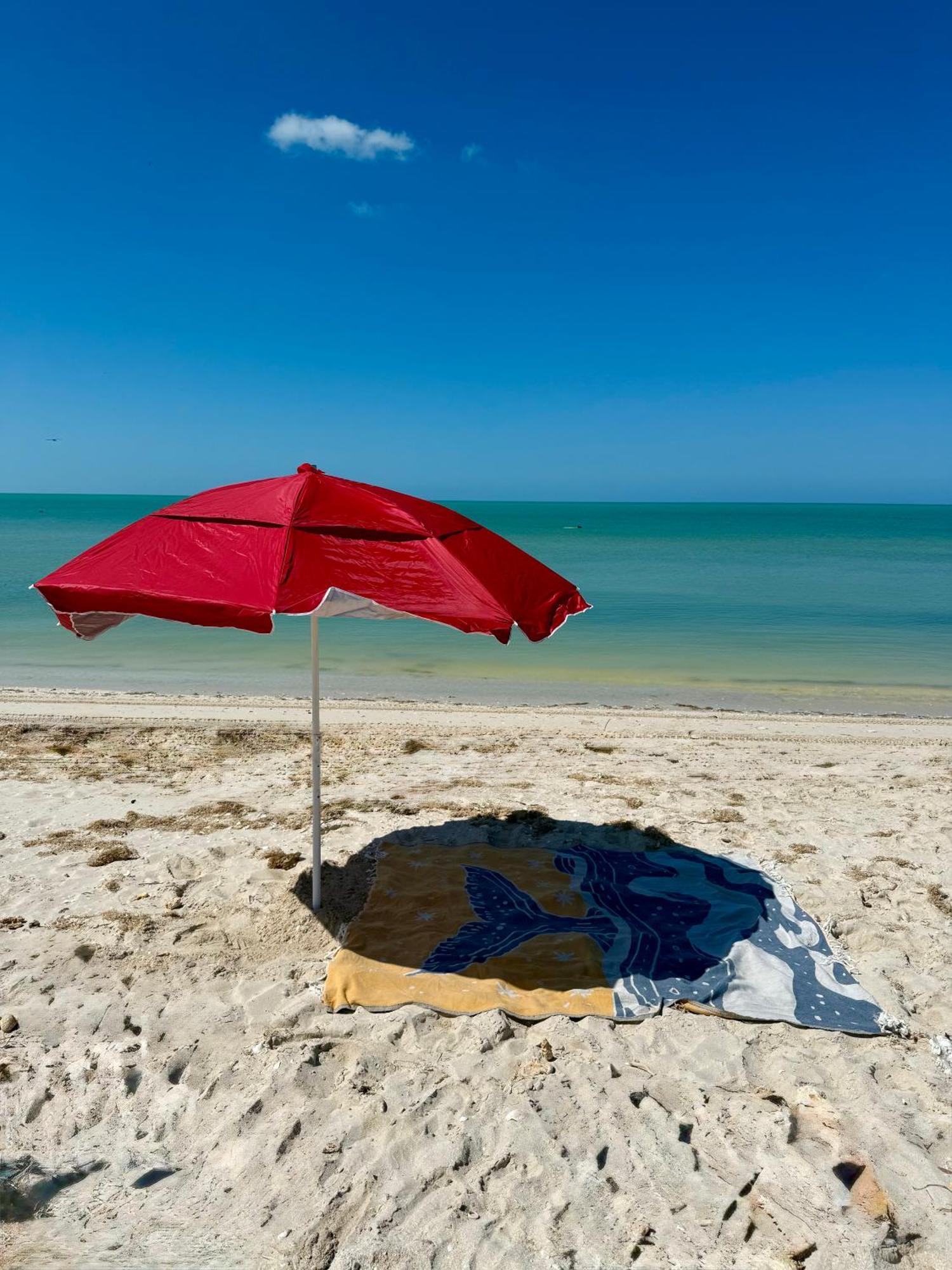 Private 2-bedroom Beachfront In - Your Secluded Escape Celestun
