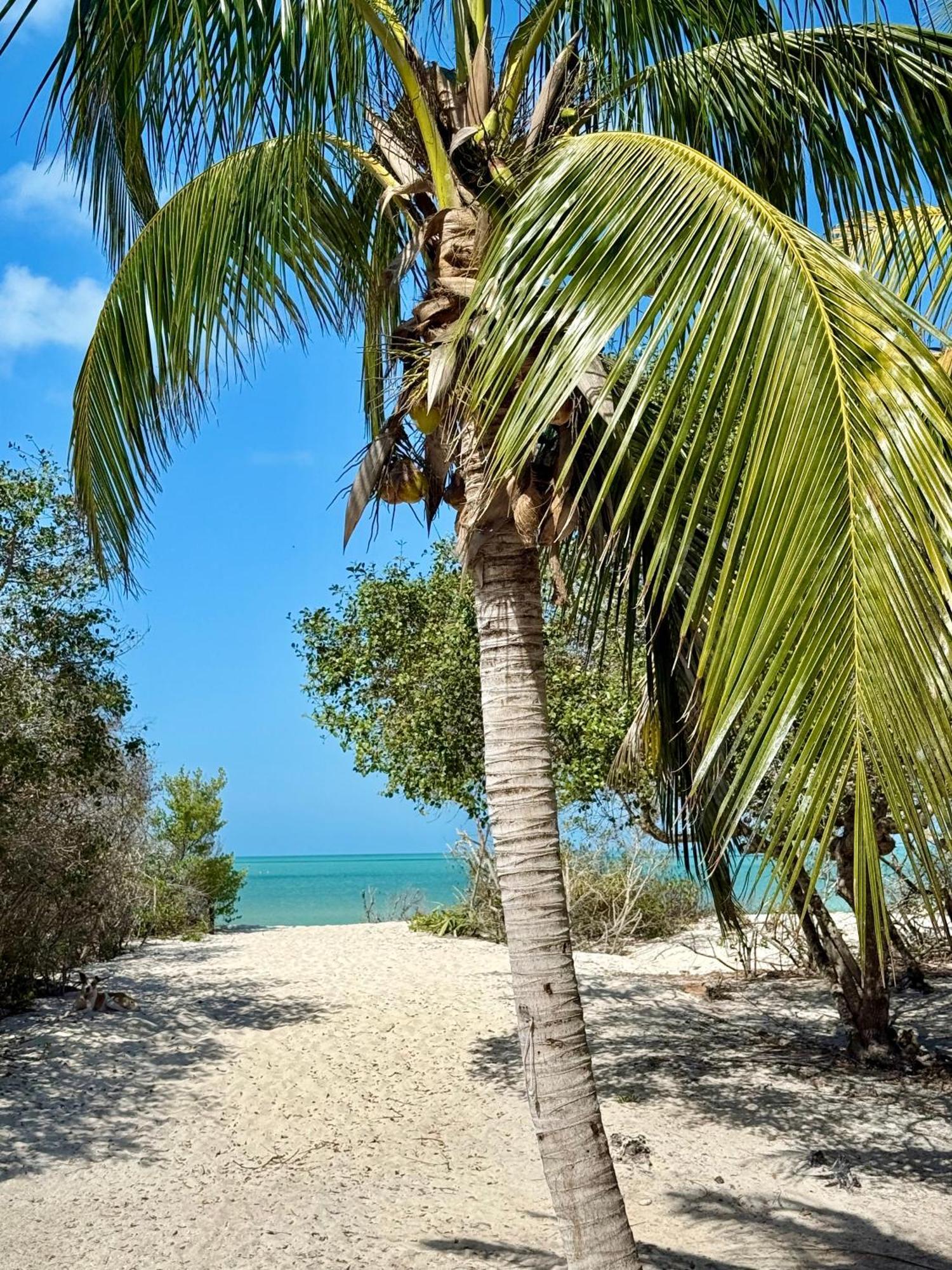 Private 2-bedroom Beachfront In - Your Secluded Escape * Celestun
