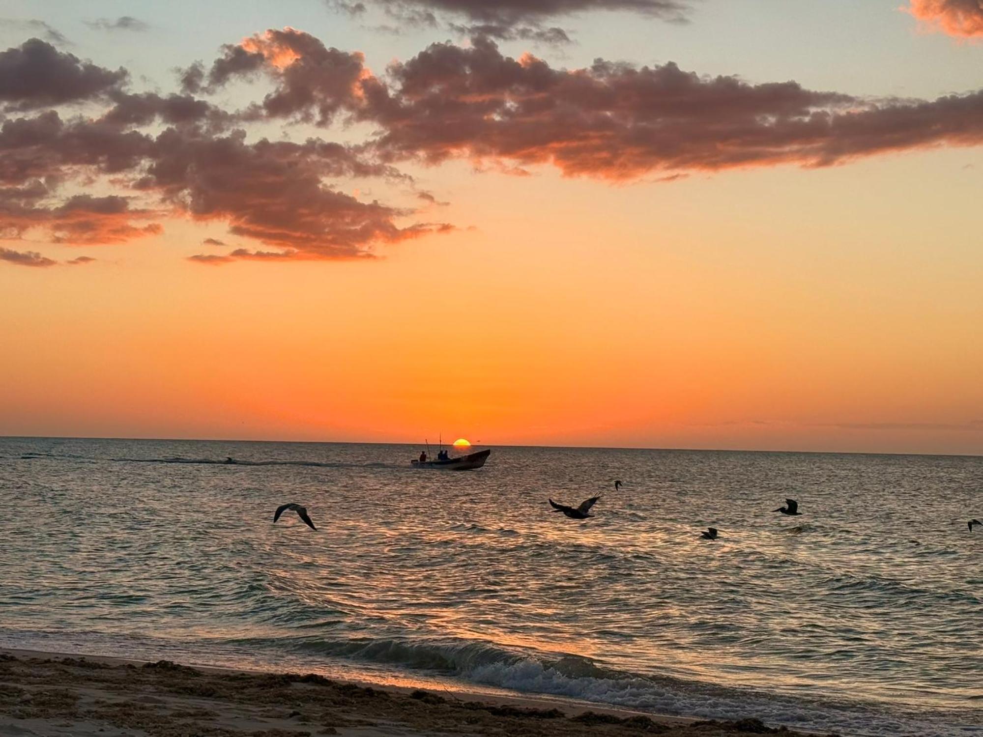 Private 2-bedroom Beachfront In - Your Secluded Escape Celestun