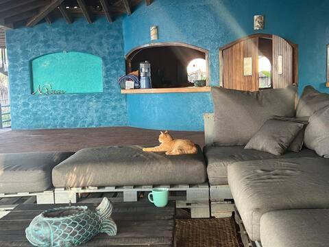 Casa Nectar- Oceanfront