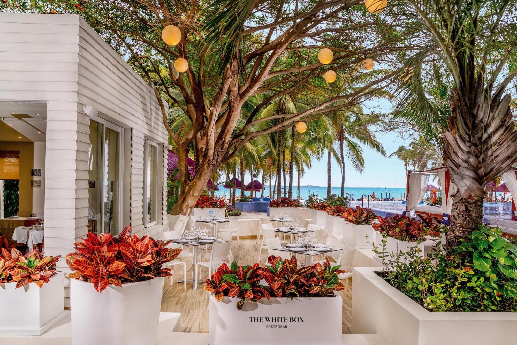 The Sens By Oasis (adults Only) Resort Cancun