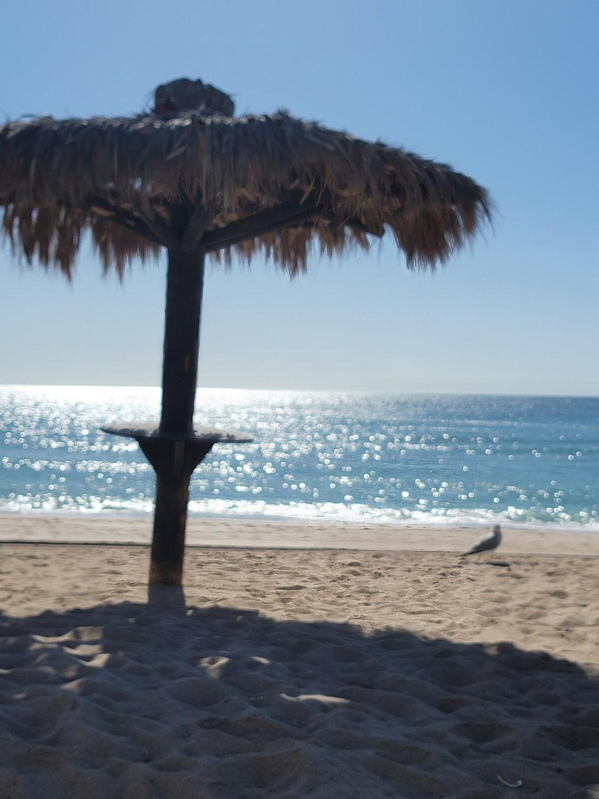Beachfront On Sandy Beach, Palmas Apartment Puerto Penasco