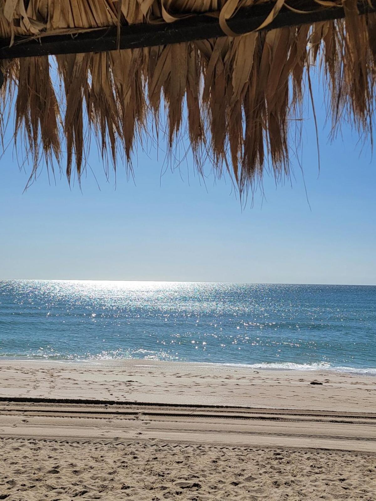 Beachfront On Sandy Beach, Palmas Apartment