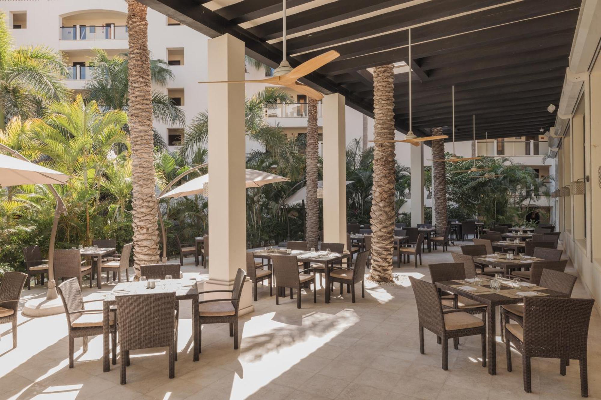 Hyatt Ziva Cabos Resort 5*