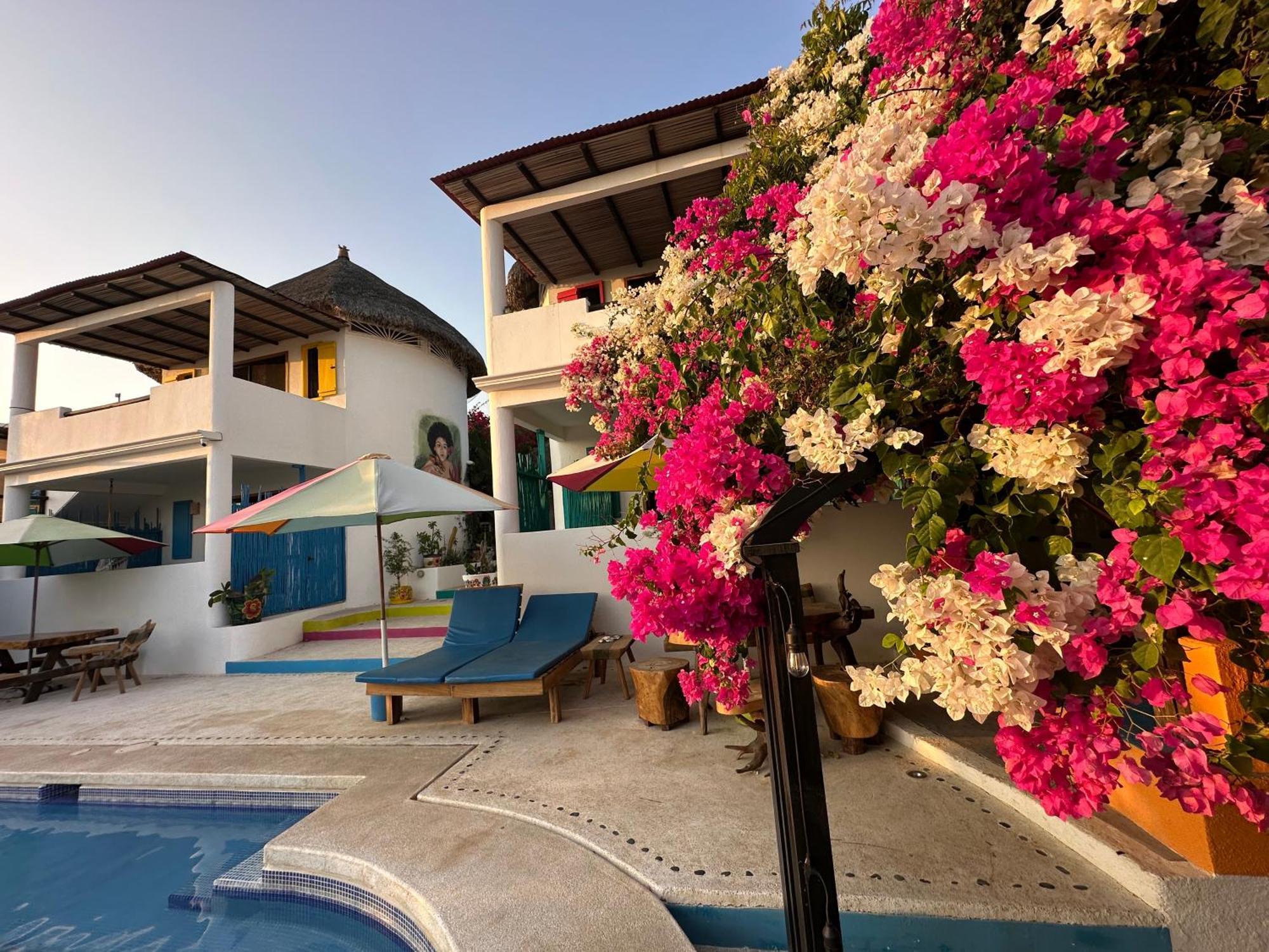 Bed & Breakfast Beachfront Paradise Boutique Agua Blanca
