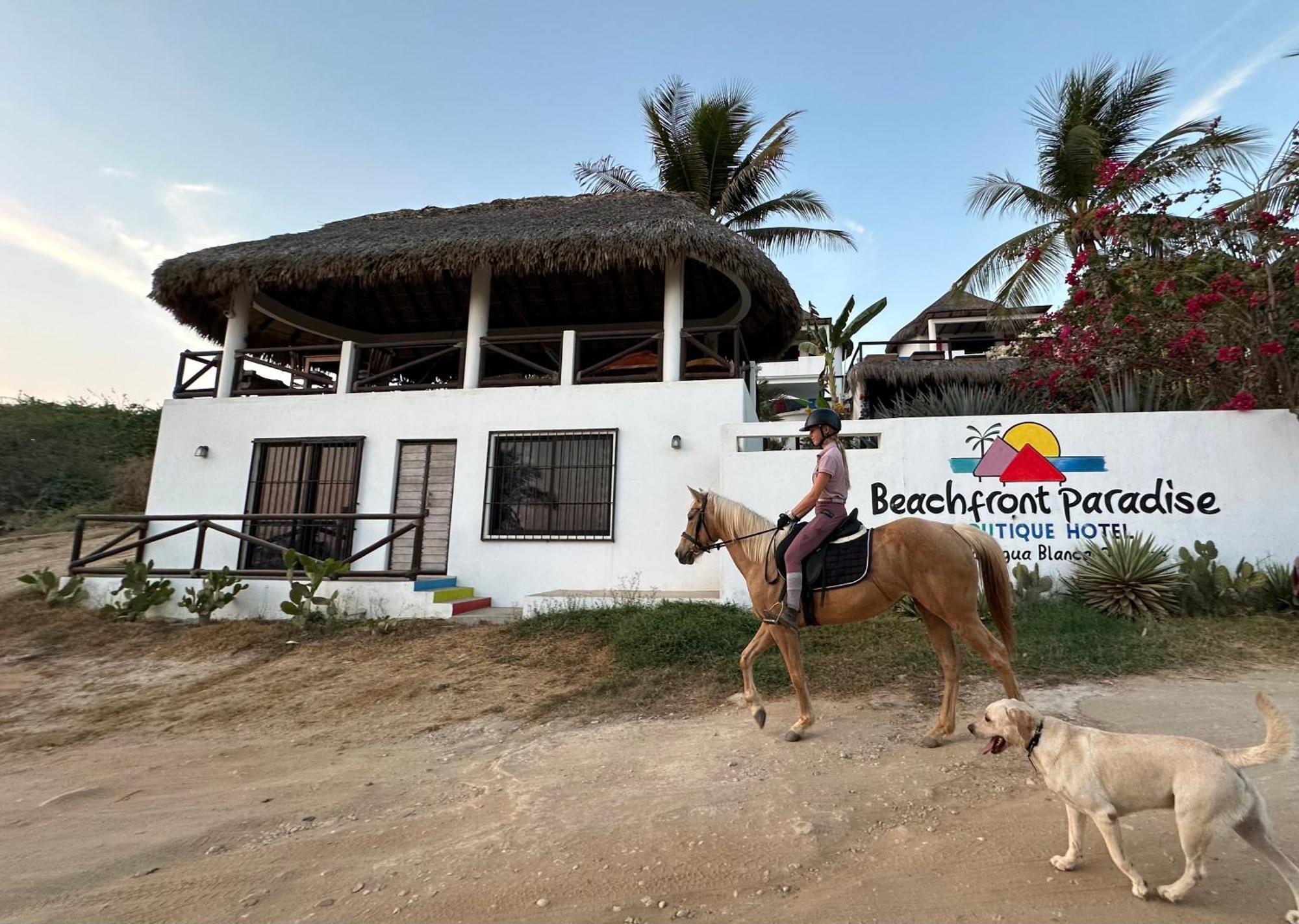 Beachfront Paradise Boutique Agua Blanca