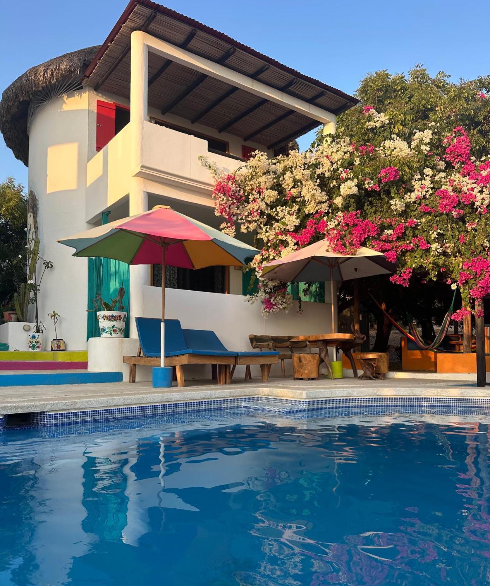 Beachfront Paradise Boutique Bed & Breakfast