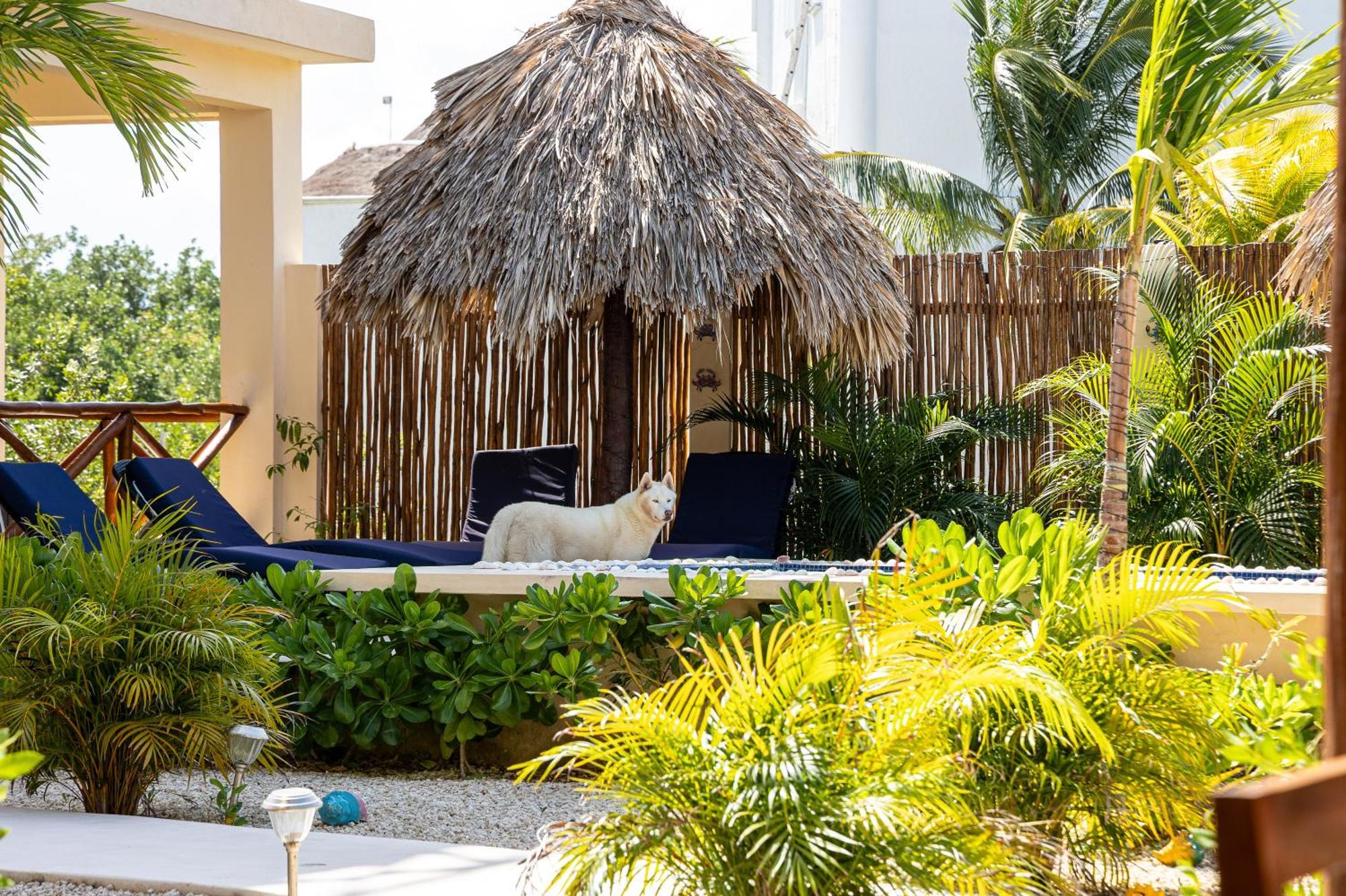 Hotel Atenea 5*