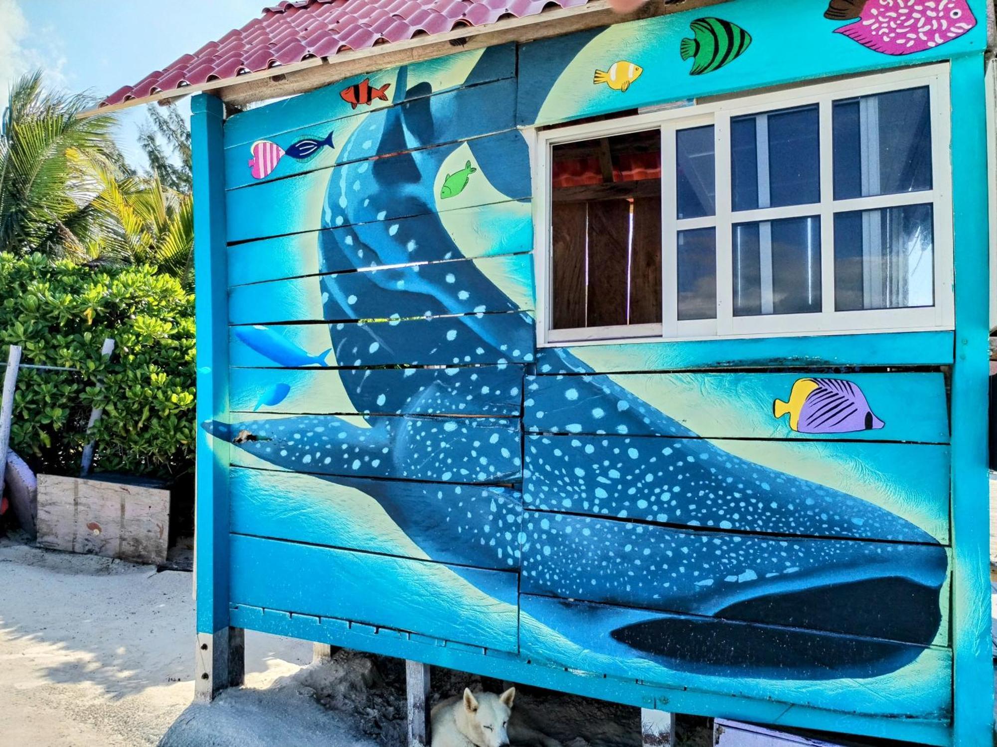 Arte Sano Only Adults - Near Hotel Isla Holbox