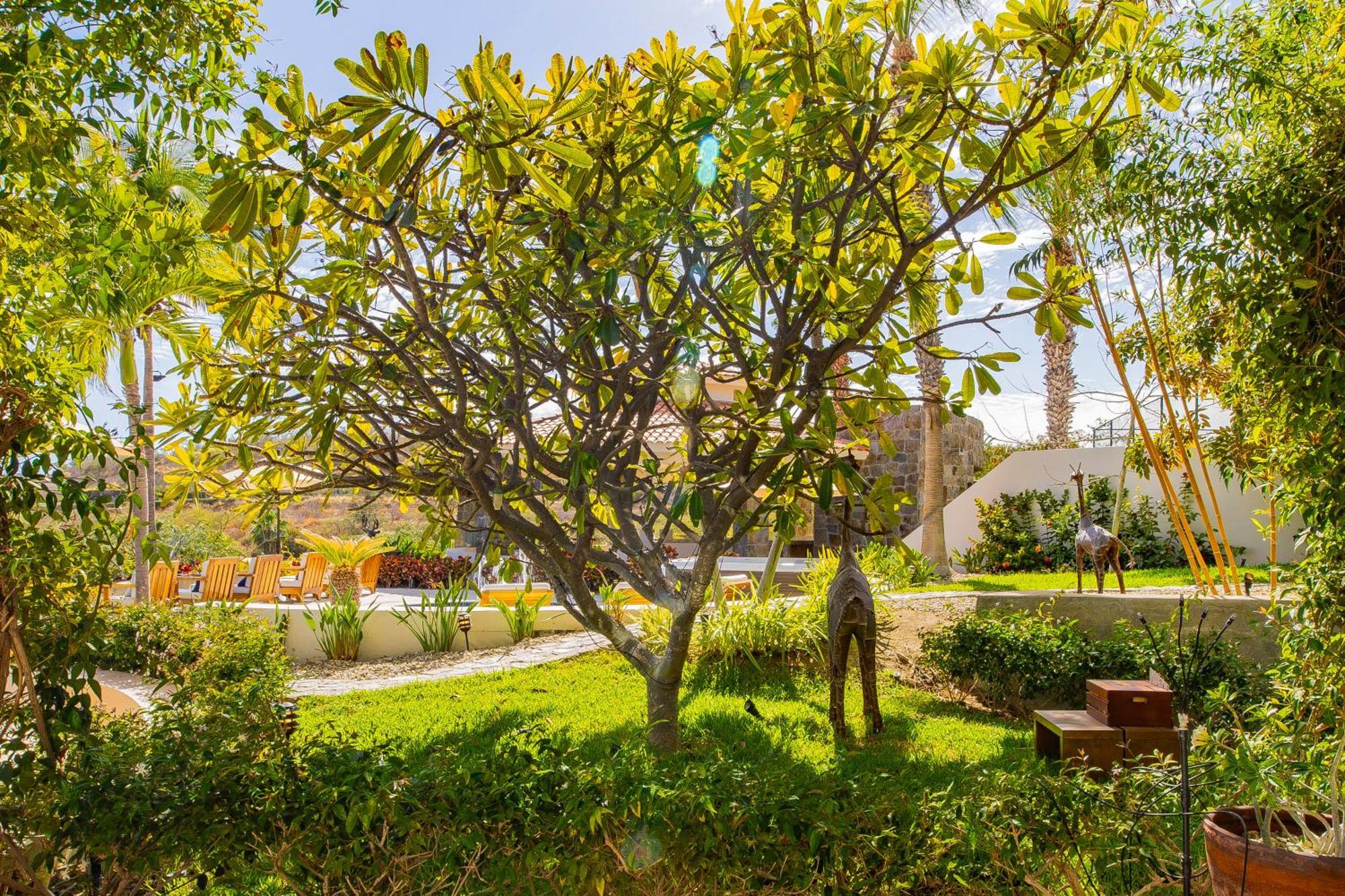Spacious 5 Bd Fully Staffed W Chauffeur In Puerto Cabos! *