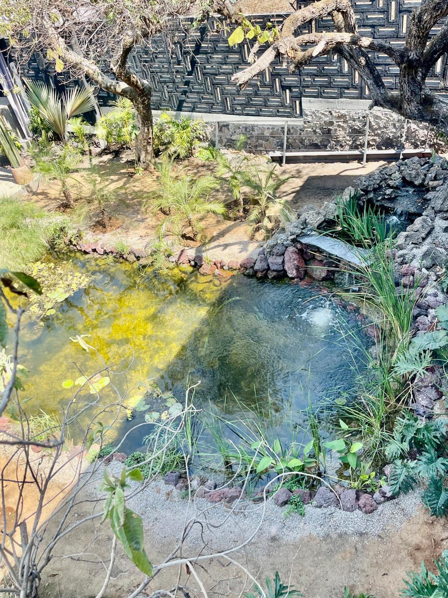 Villa Casa Alma 2 With Pond, Gym &