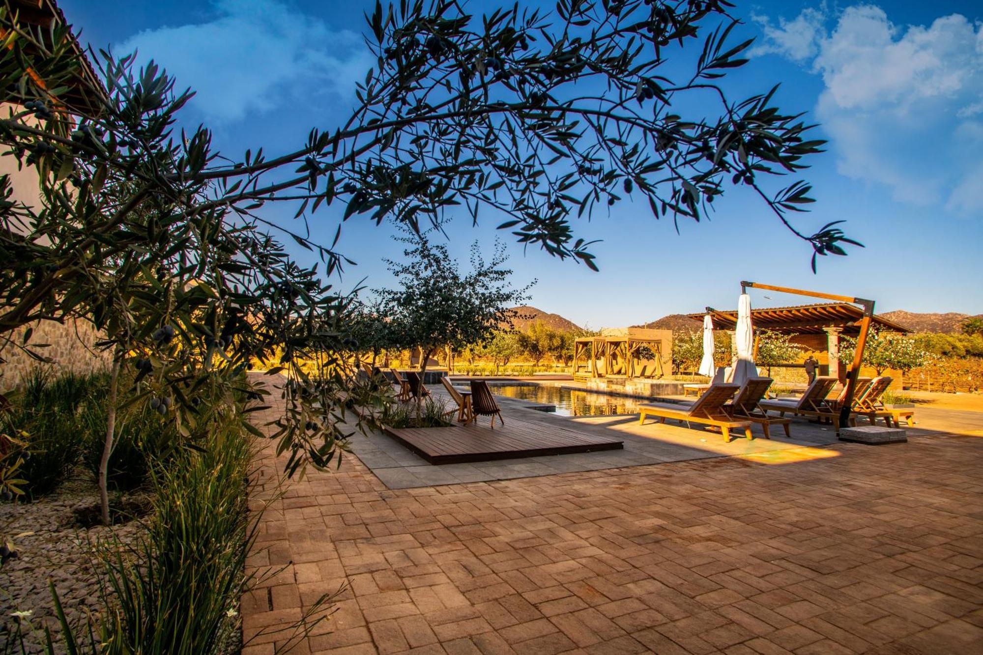 Hotel Flores De Sal-valle De Guadalupe 4*