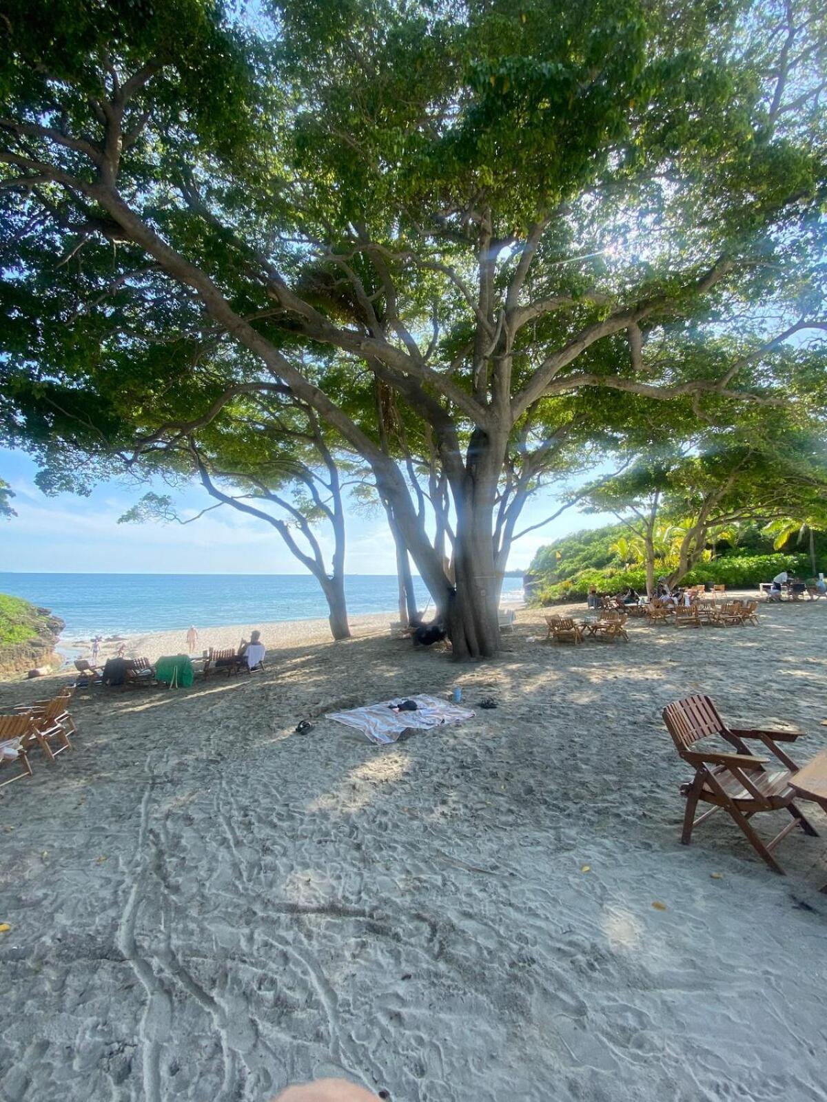 Bolongo Luxury Eli, Front - Punta Mita