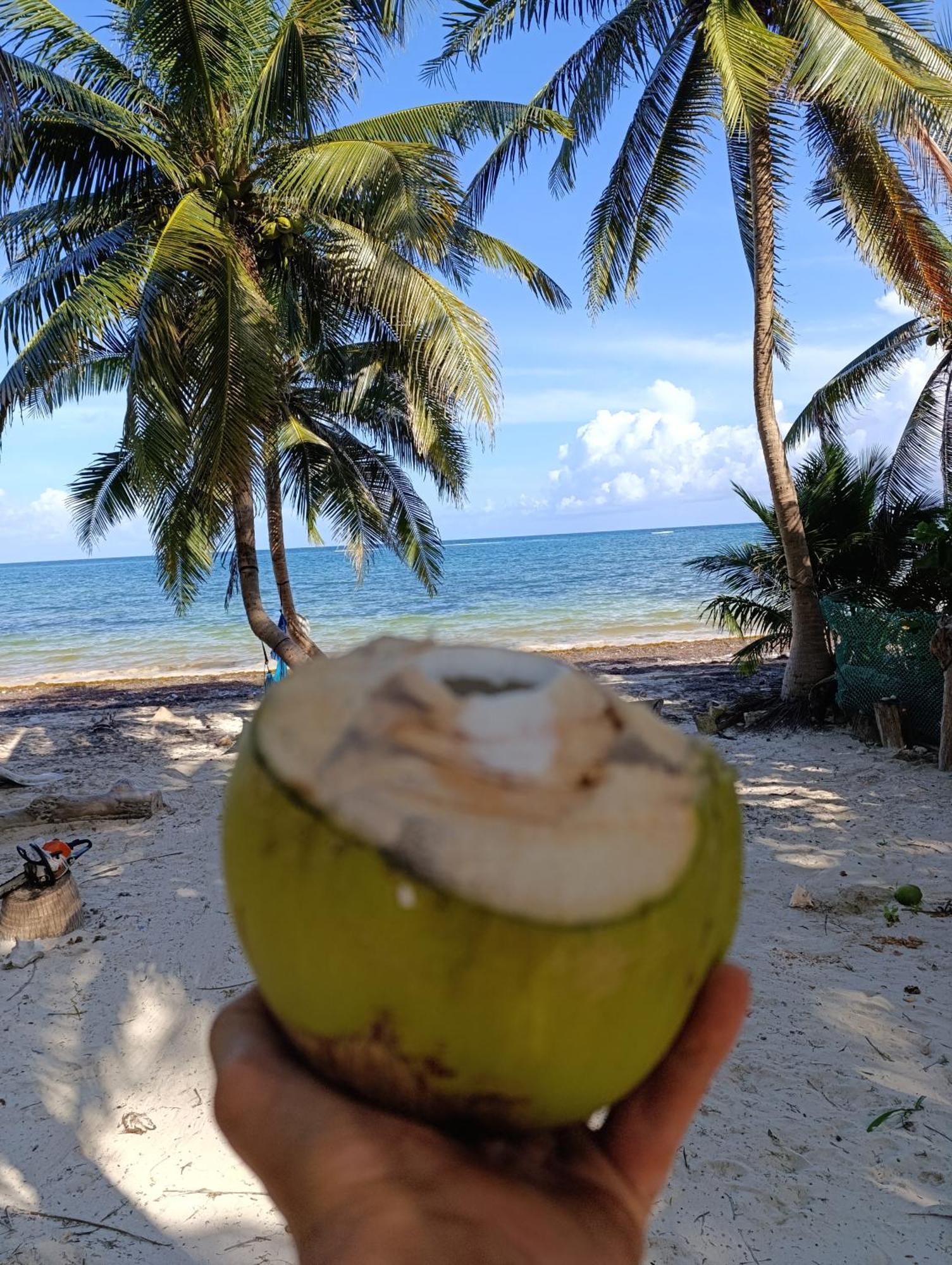 Lodge Chez Gigi - Eco Mahahual