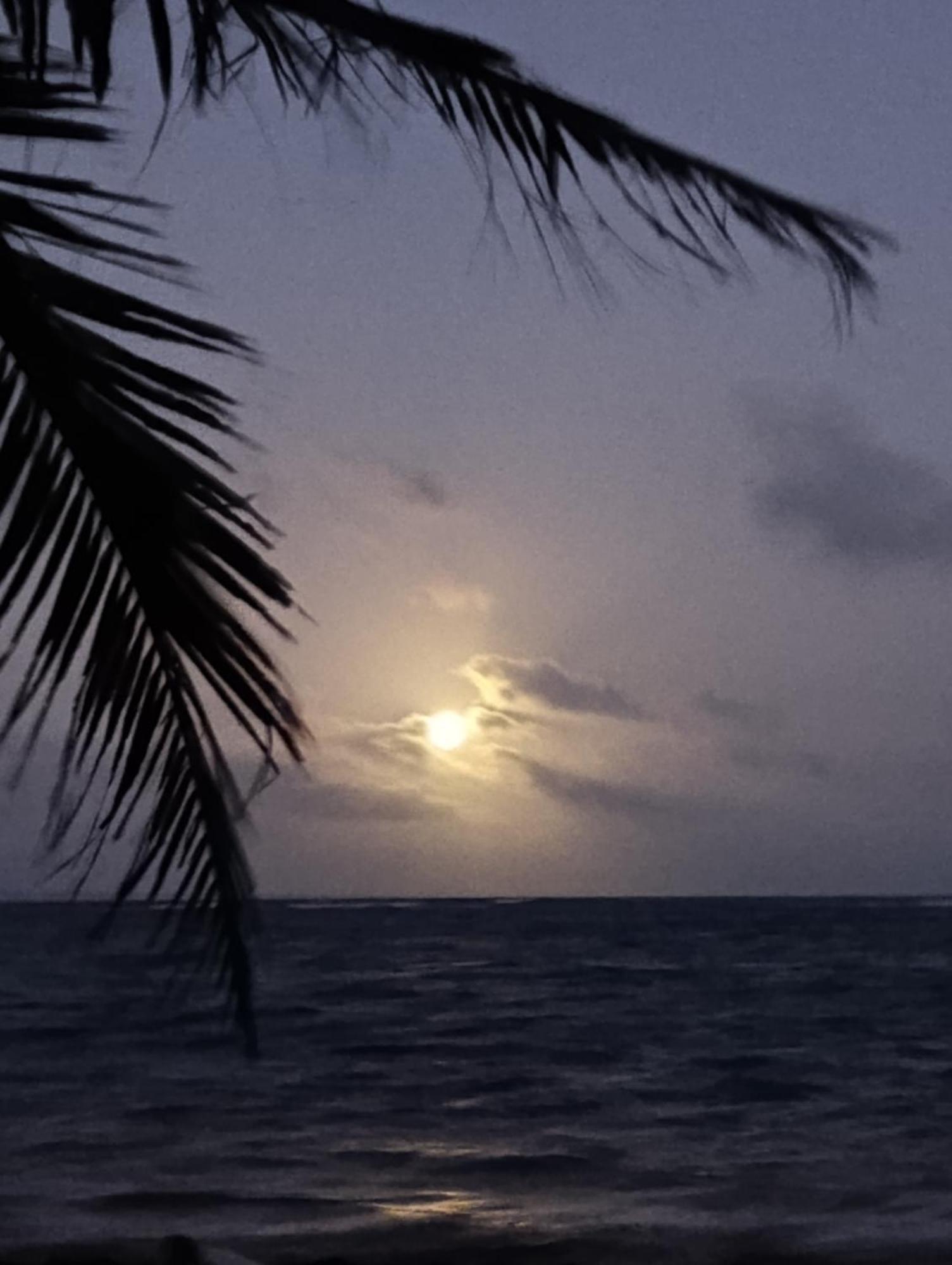 Chez Gigi - Eco Mahahual