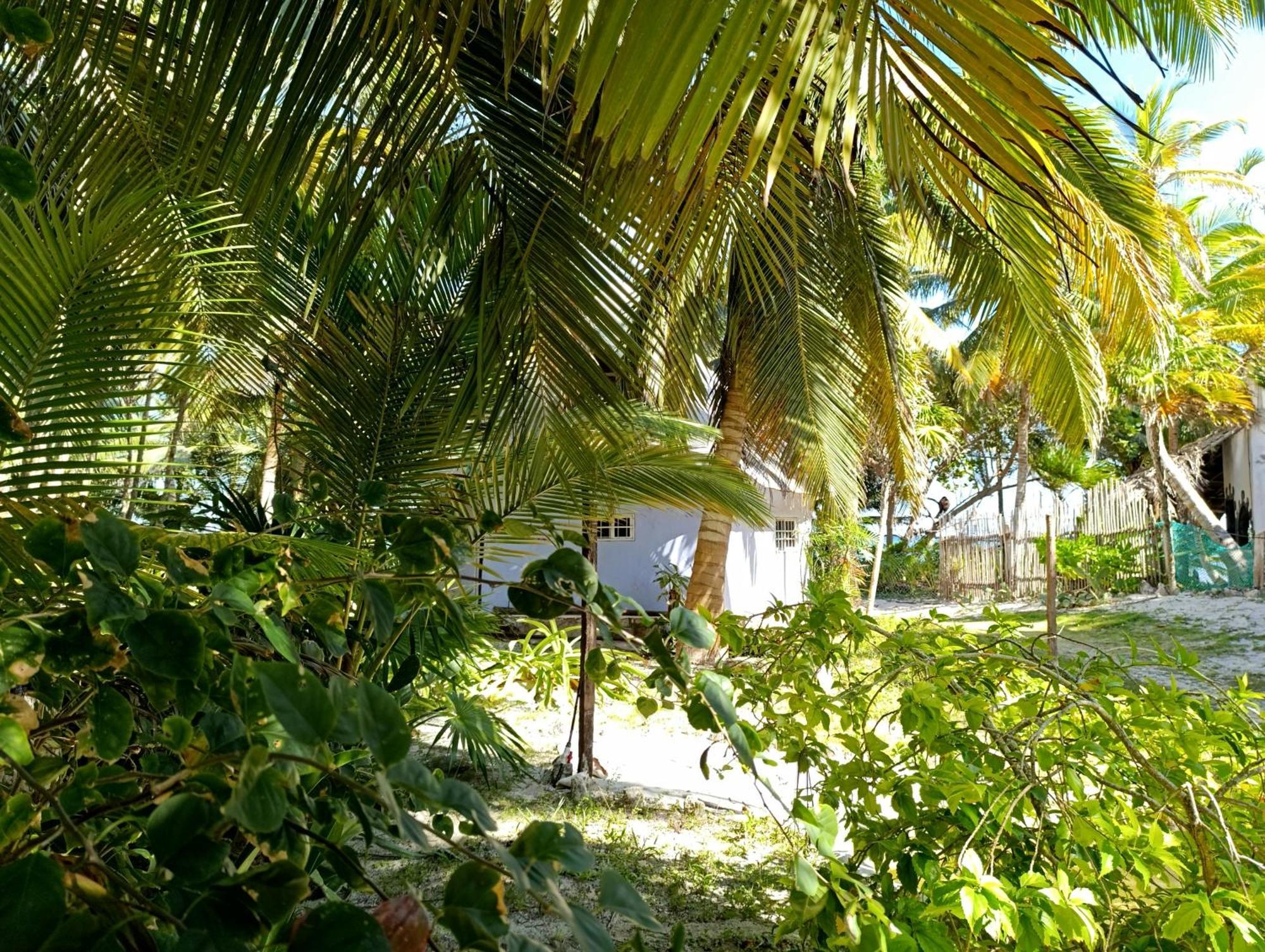 Lodge Chez Gigi - Eco Mahahual