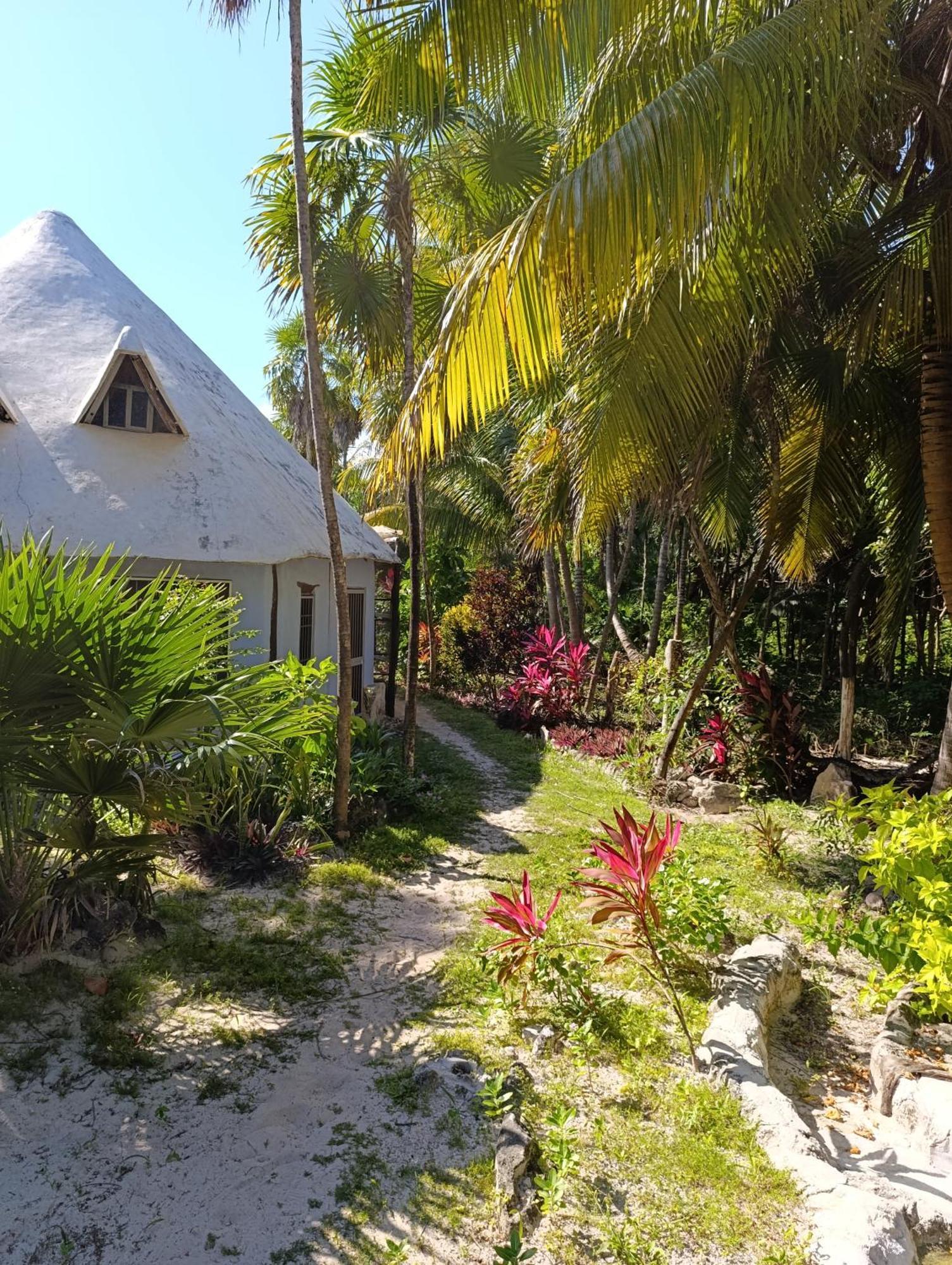 Lodge Chez Gigi - Eco Mahahual