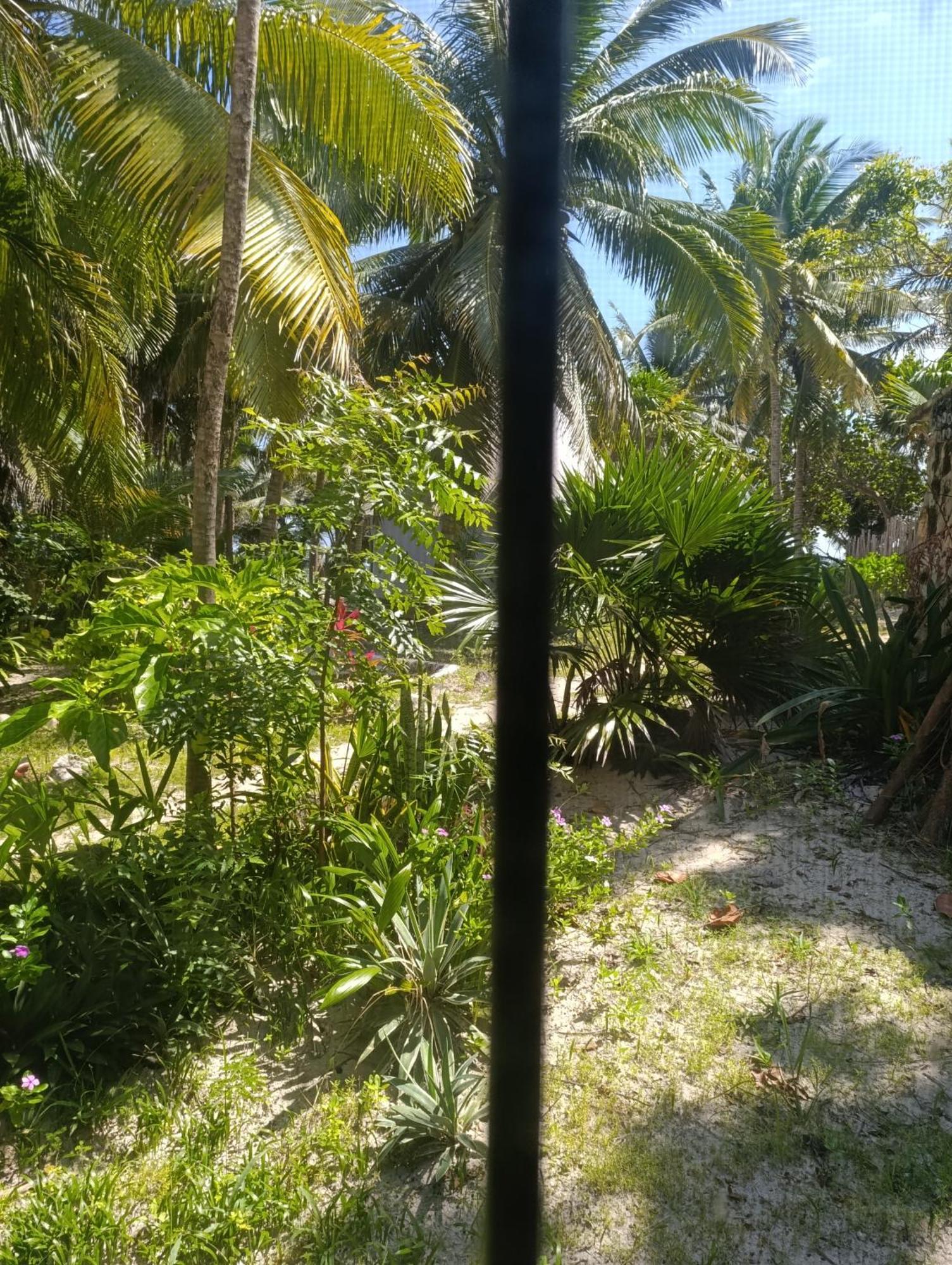 Chez Gigi - Eco Mahahual