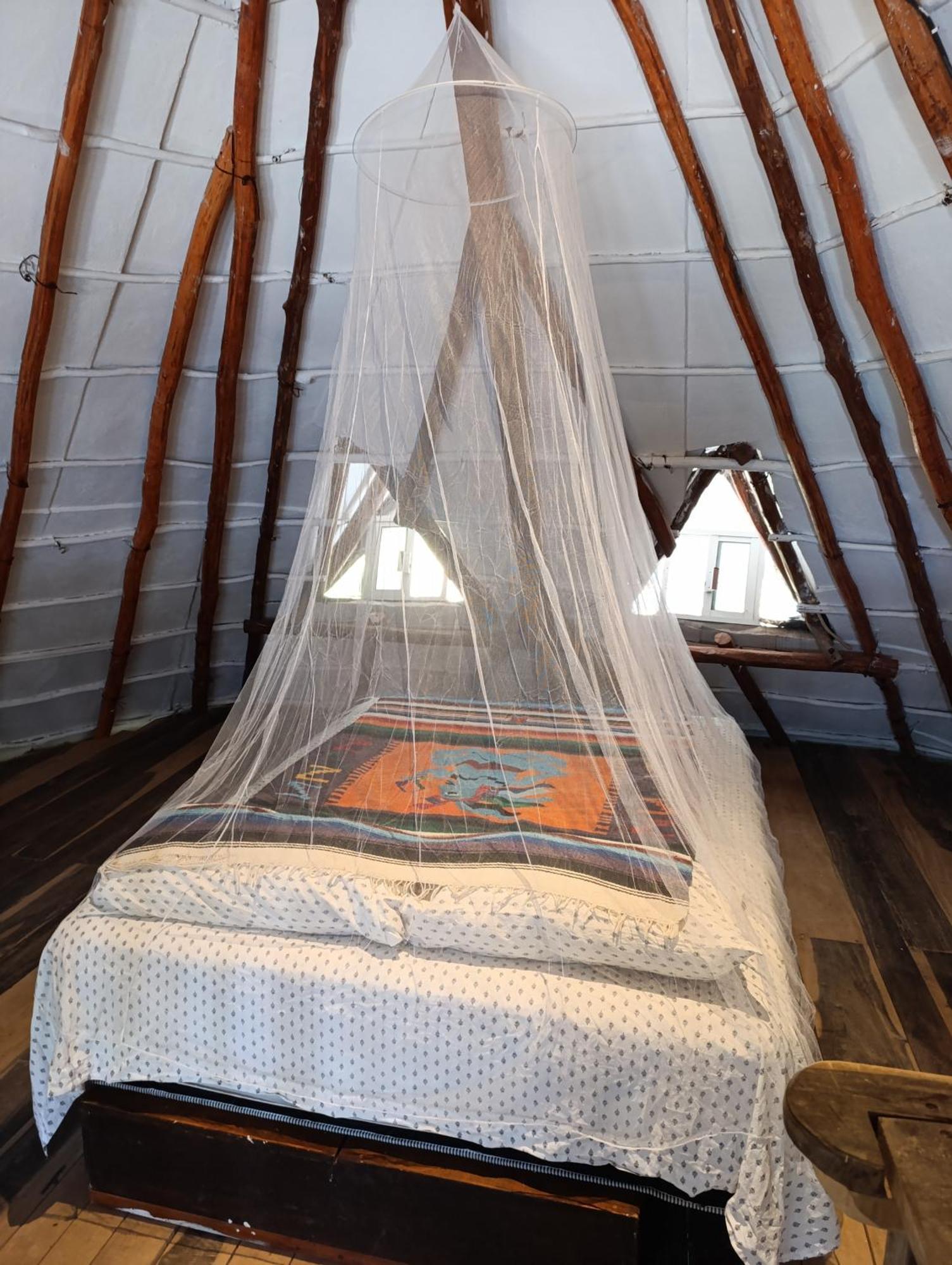 Chez Gigi - Eco