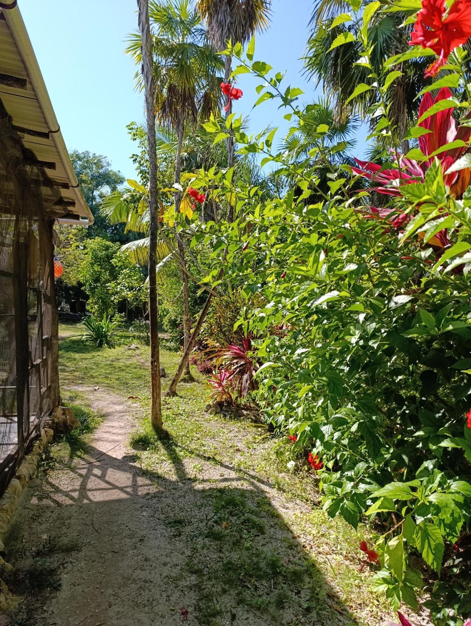Lodge Chez Gigi - Eco Mahahual