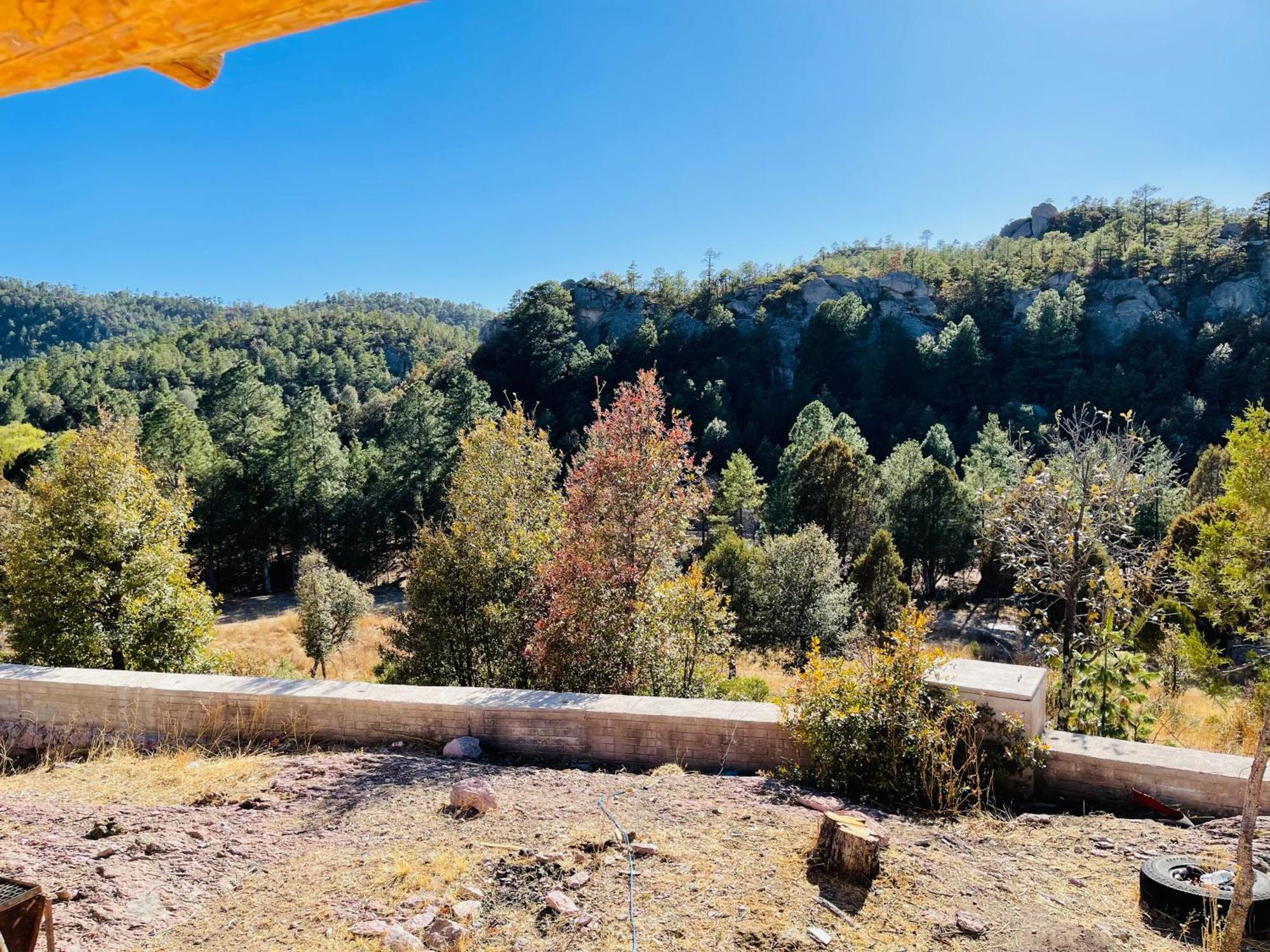 De Lolita En Barrancas Del Cobre Hotel