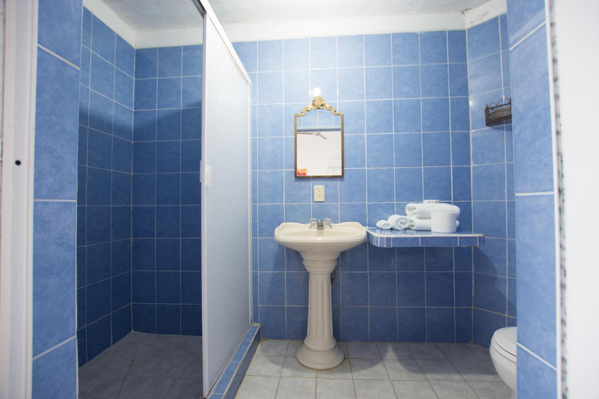 Traditional Sierra Leon Oceanfront - Adults Only Puerto Vallarta