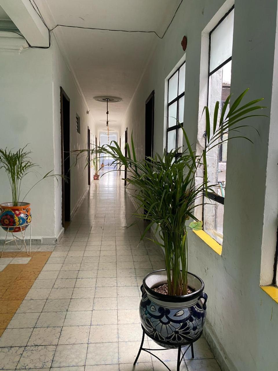 Osaenzz Hotel Guanajuato