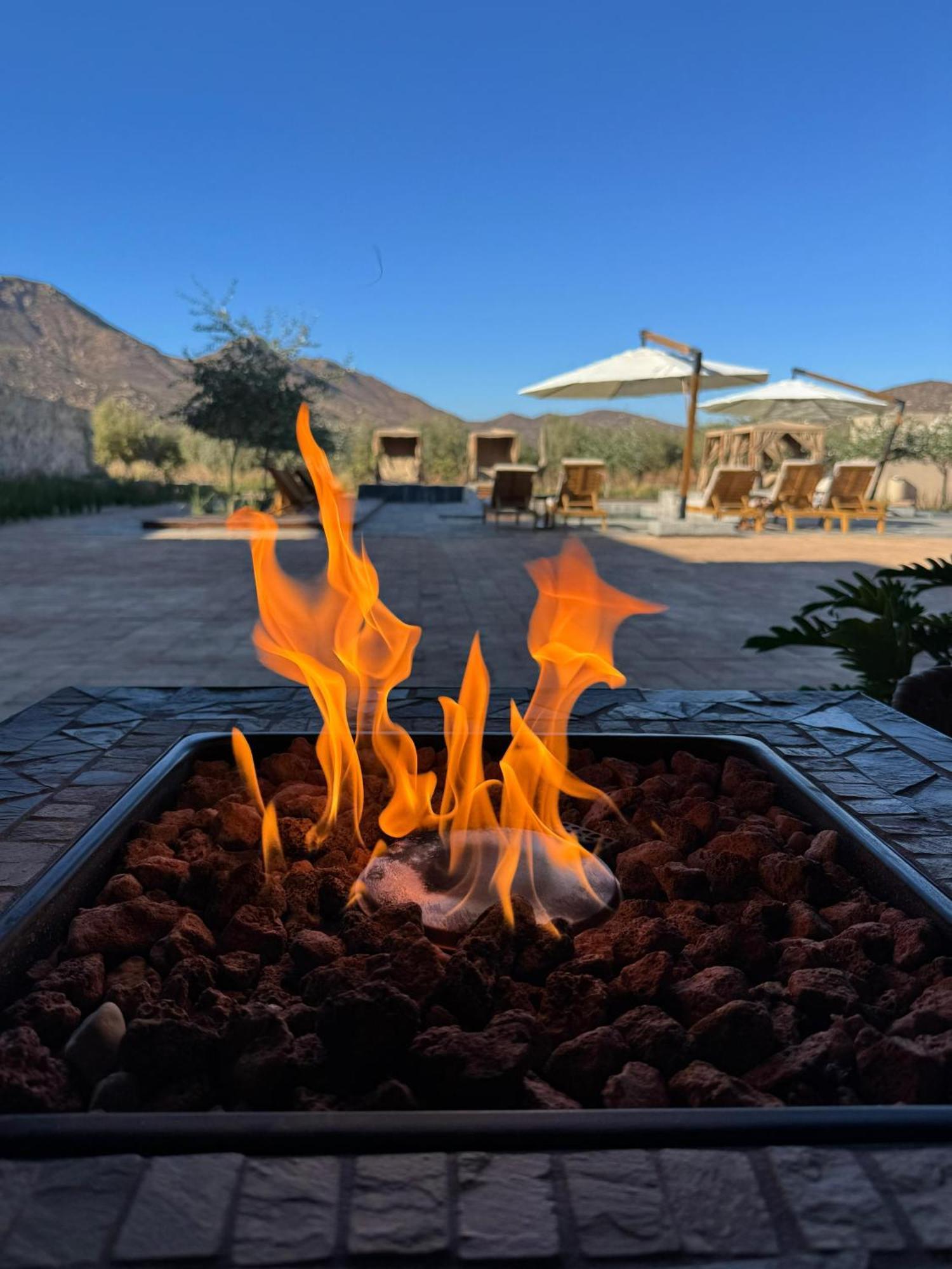 Hotel Flores De Sal-valle De Guadalupe