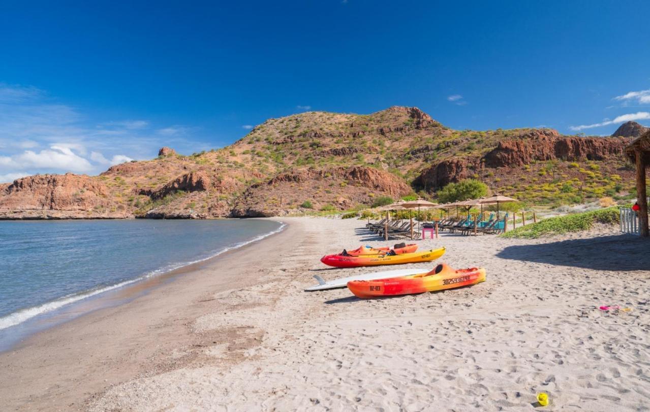 Del Palmar At The Islands Of Loreto