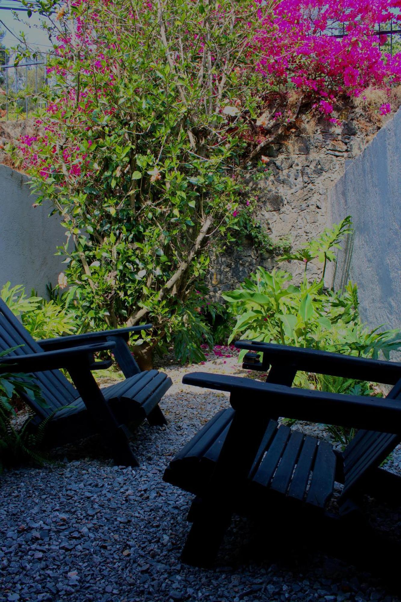 Hotel Organico Boutique 5*