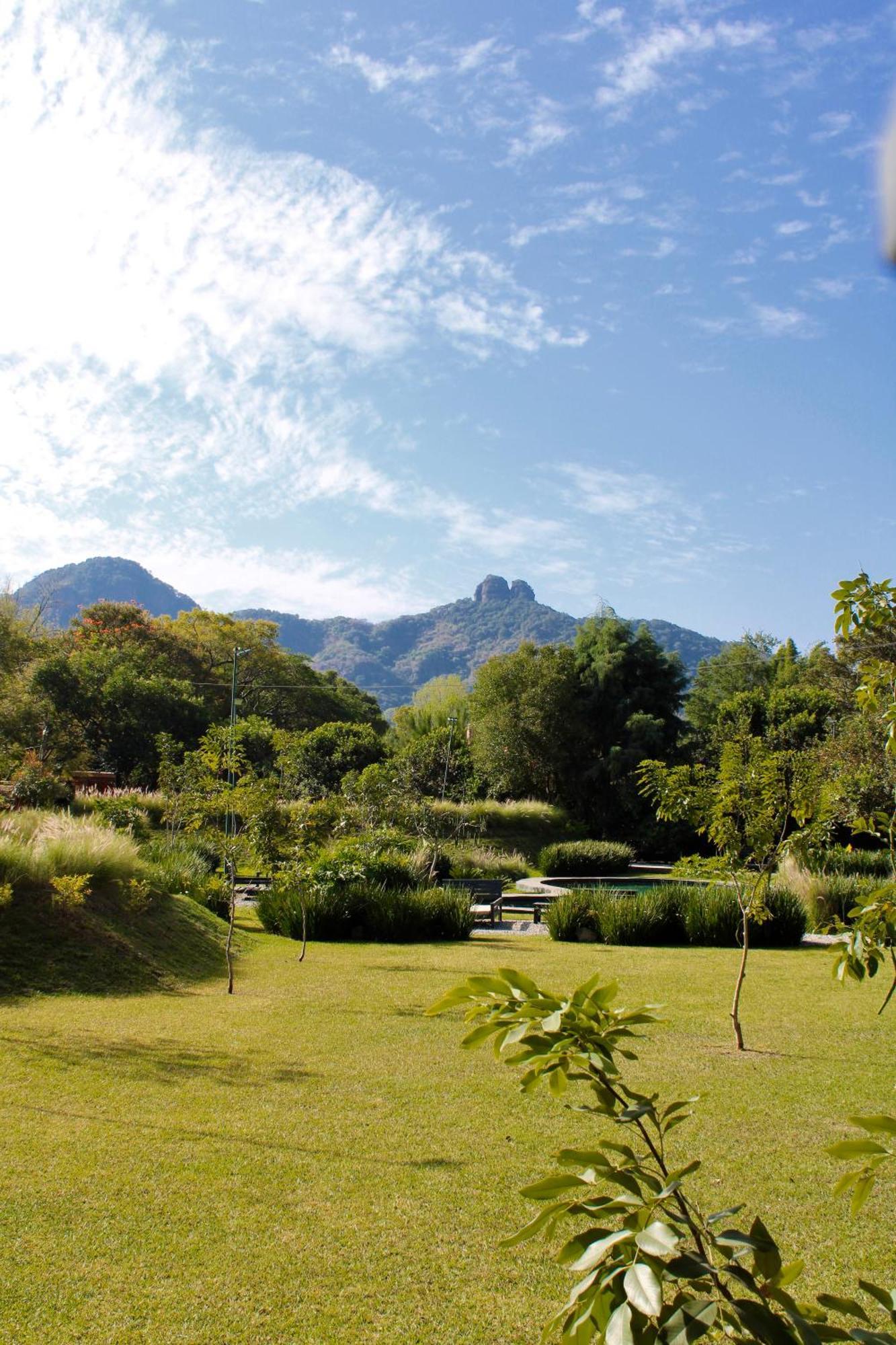 Organico Boutique Hotel 5*