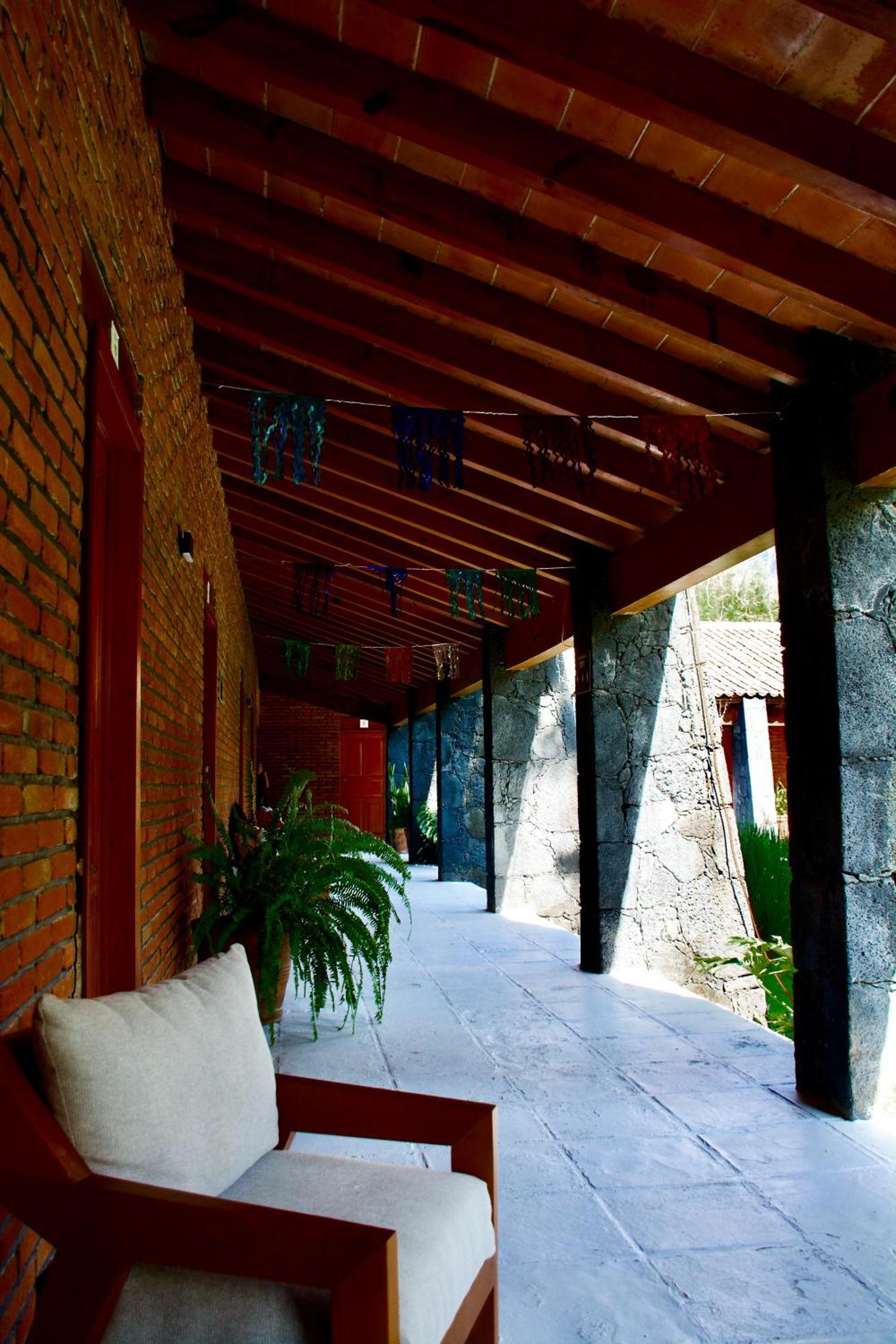 Hotel Organico Boutique