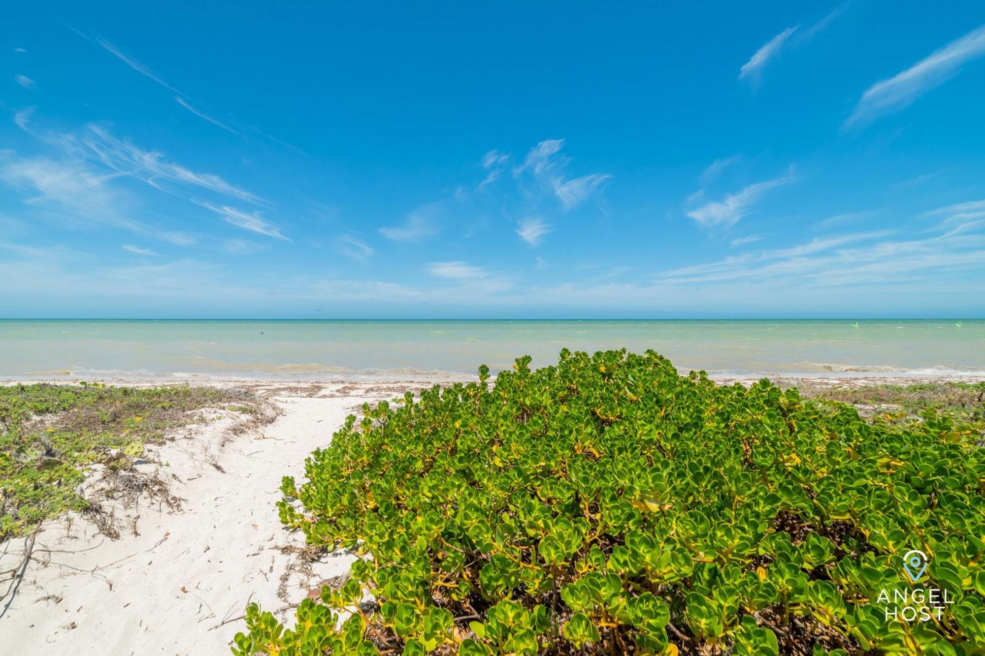 Beachfront With Private Pool Steps To The Sea!