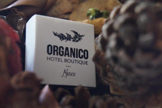 Organico Boutique Hotel Mexico City