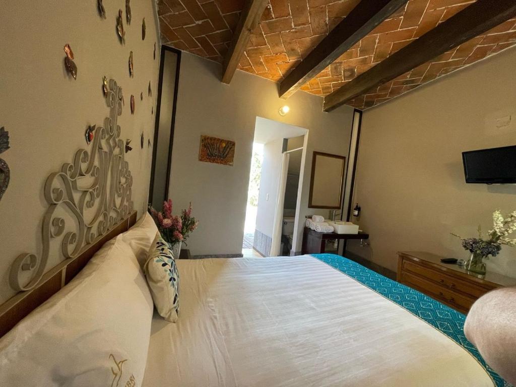 Colibri - & 3*