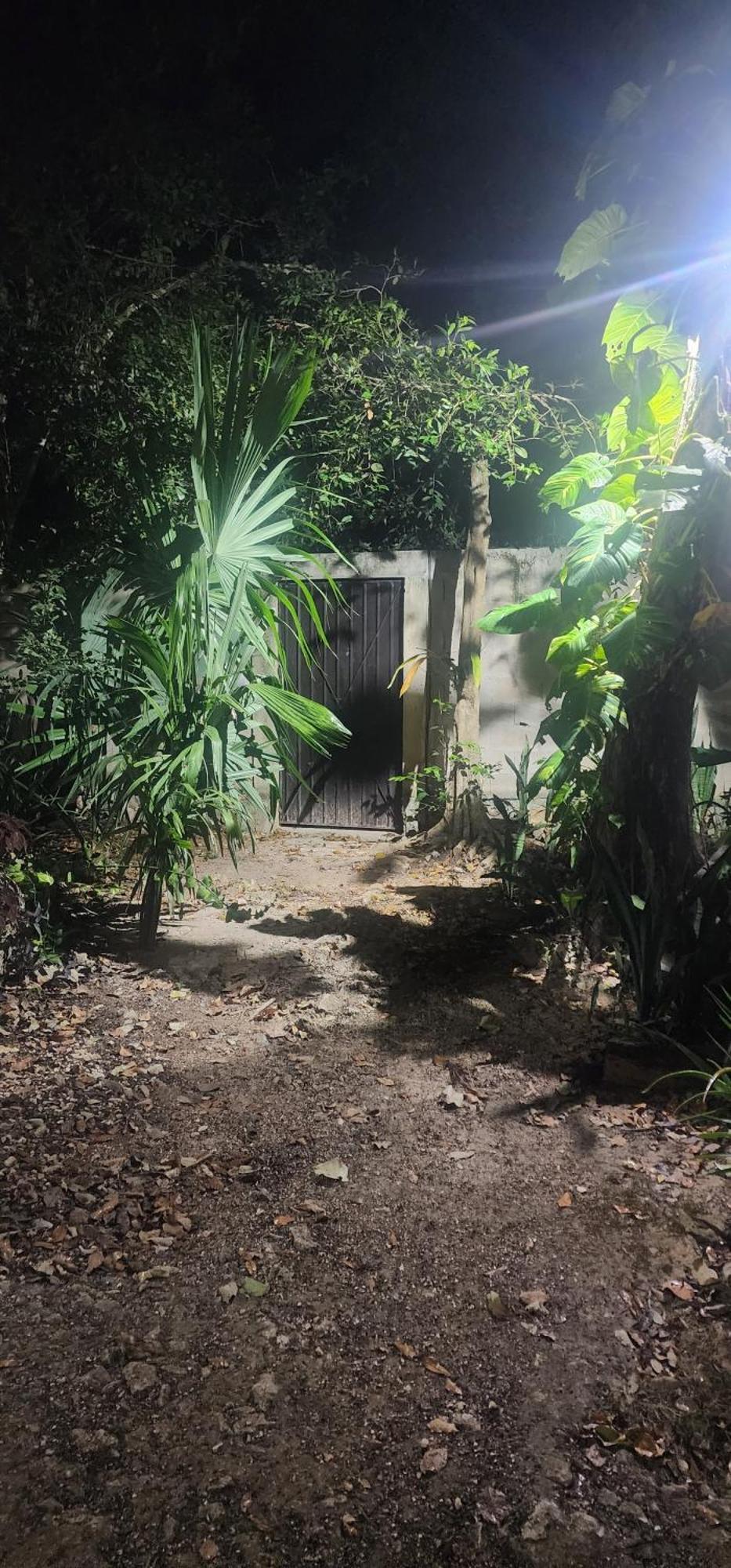 Casa Itzamna Jungle Retreat Tulum * Macario Gomez
