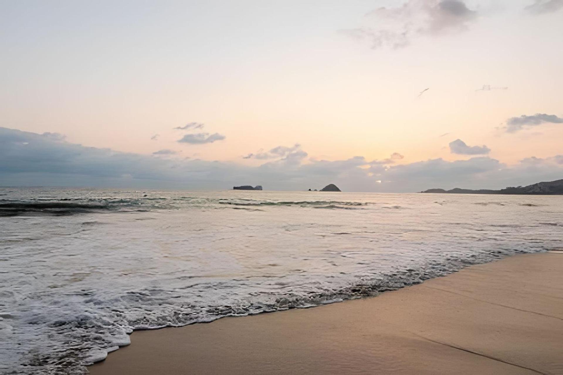 Bvg Ixtapa