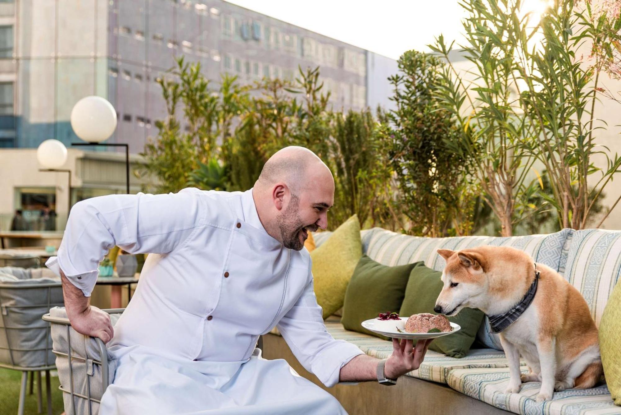 Andaz Condesa City, By Hyatt