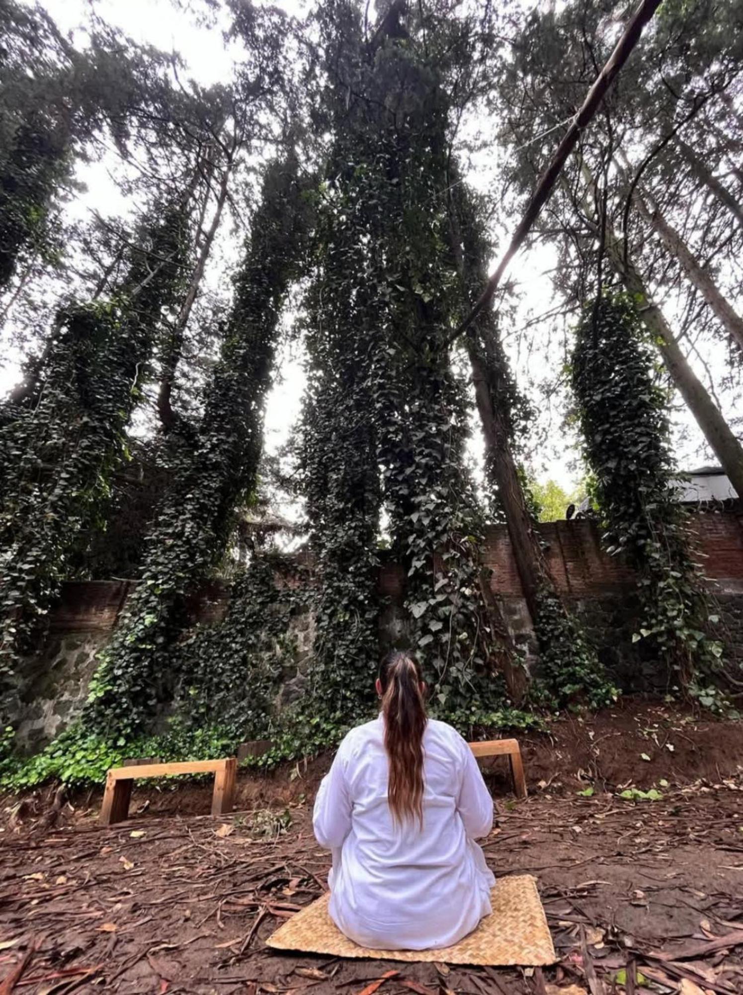 Mindfulness Glamping, Retiro De Yoga, Campsite