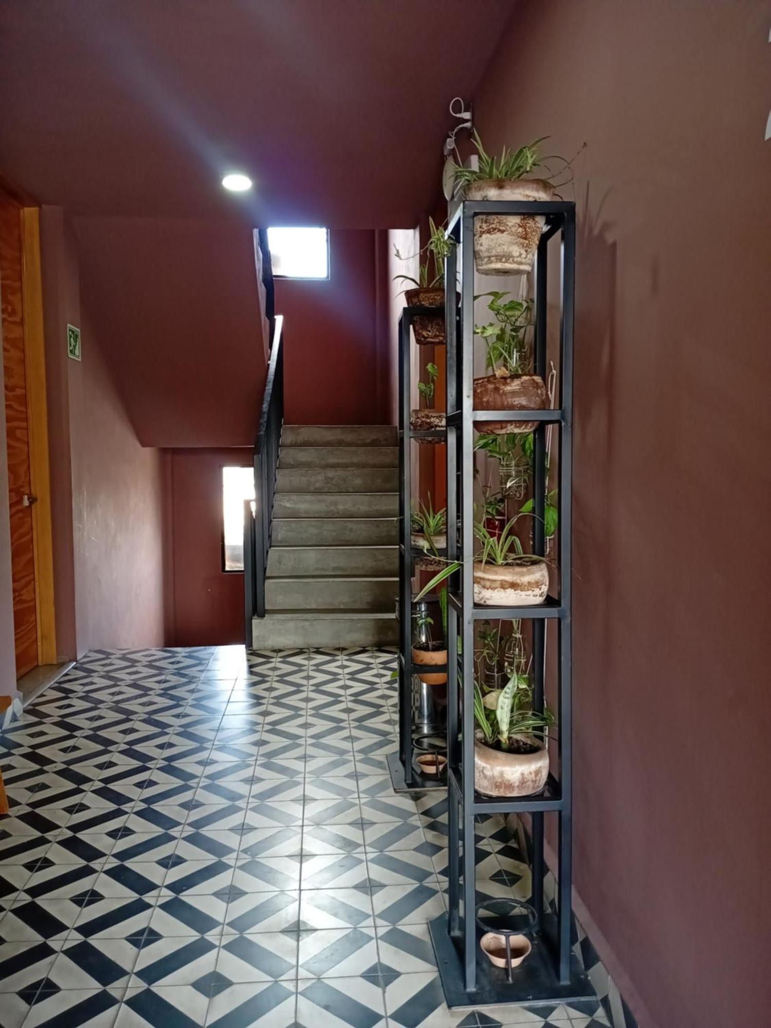 Momotus Tuxtla - Desayuno Incluido 4*
