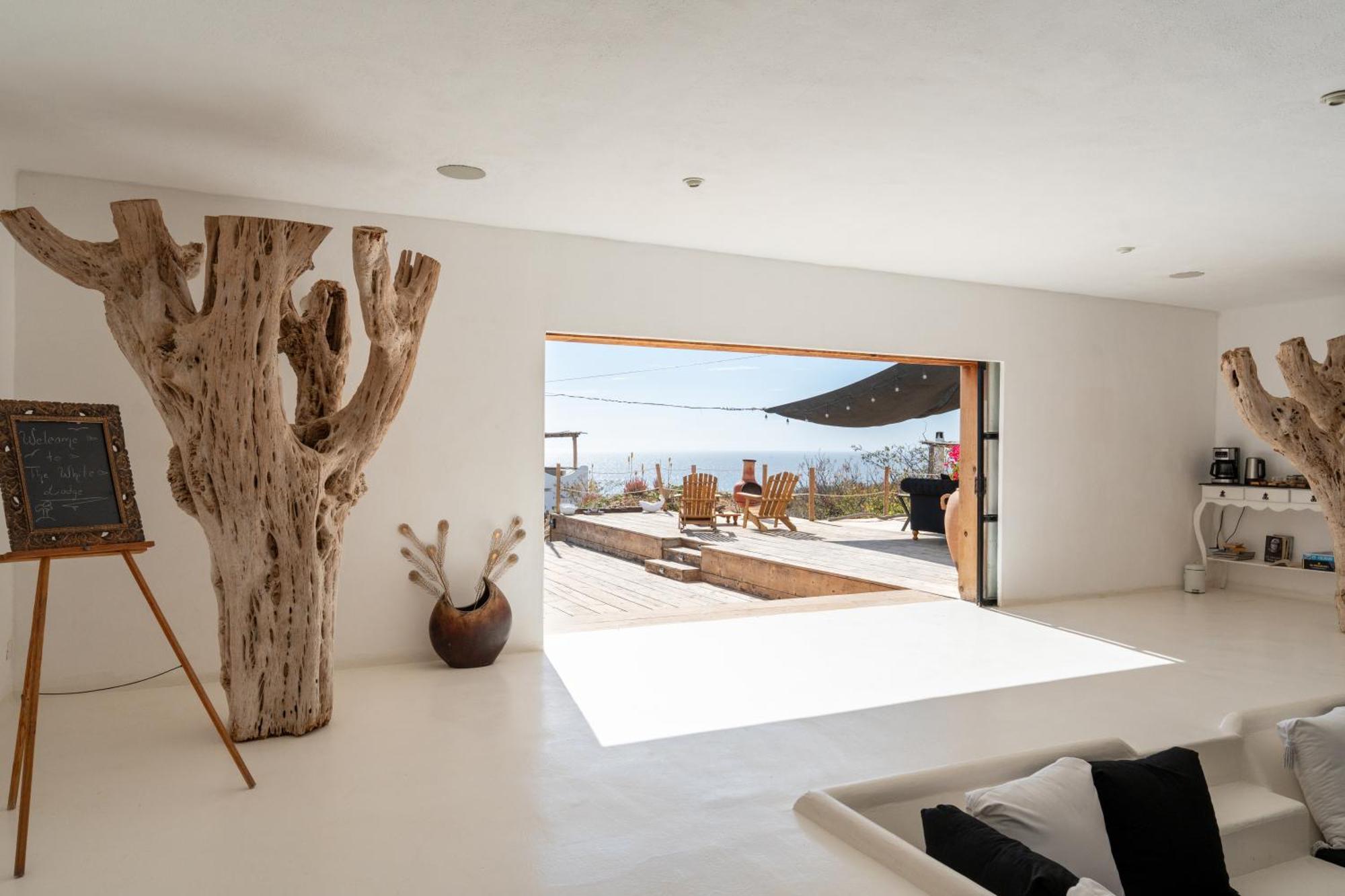 Nest Baja