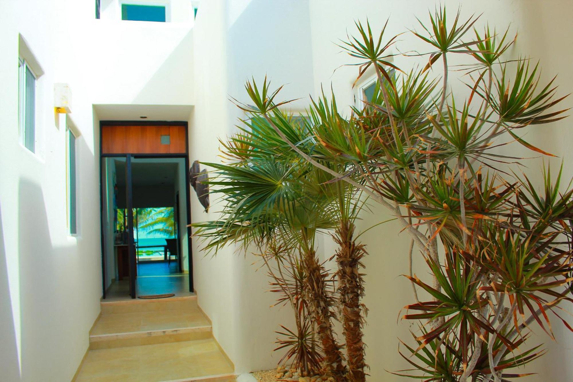 Hidra Luxurious