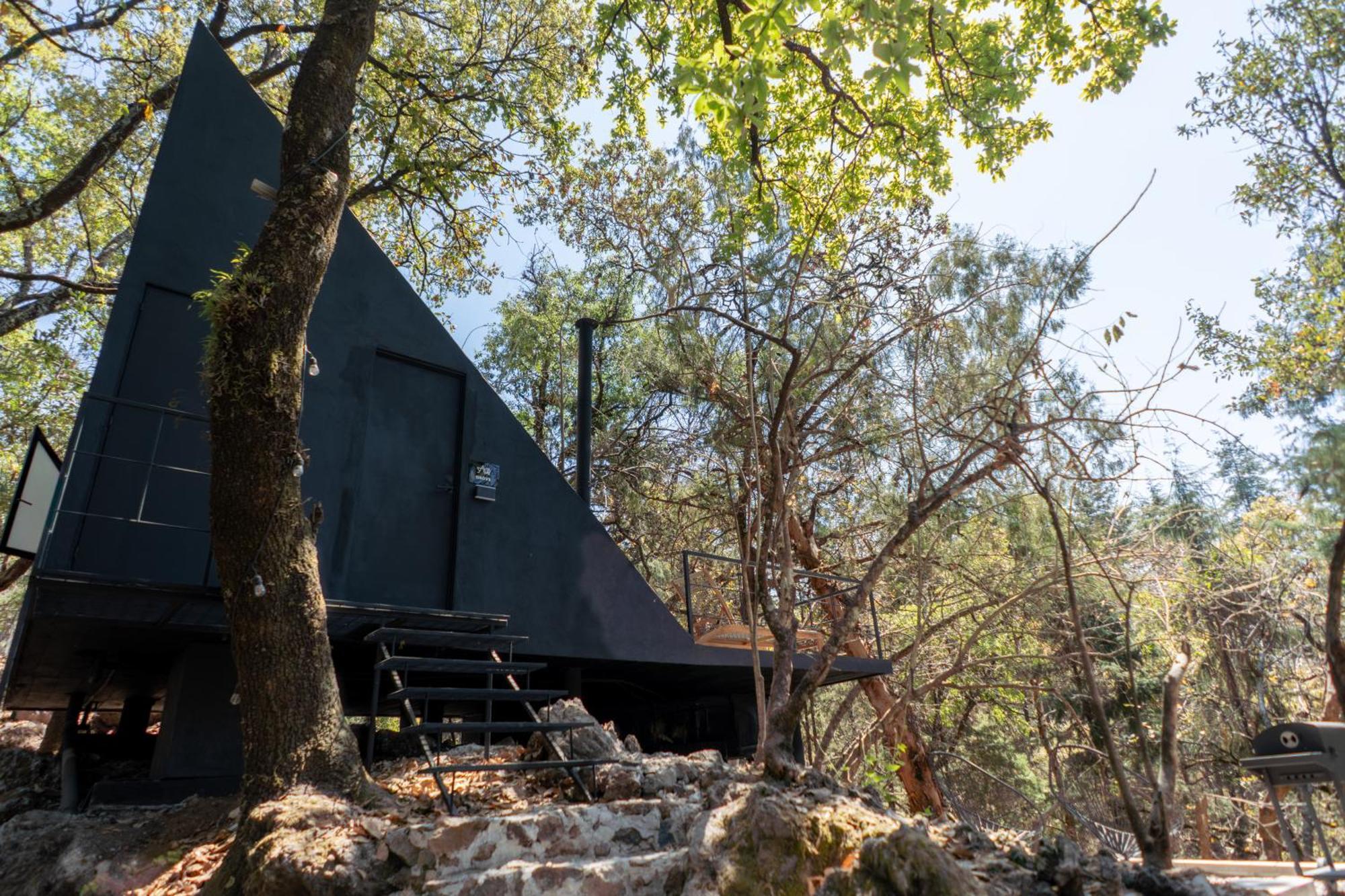 Campsite Grasshopper Cuautla (Morelos)