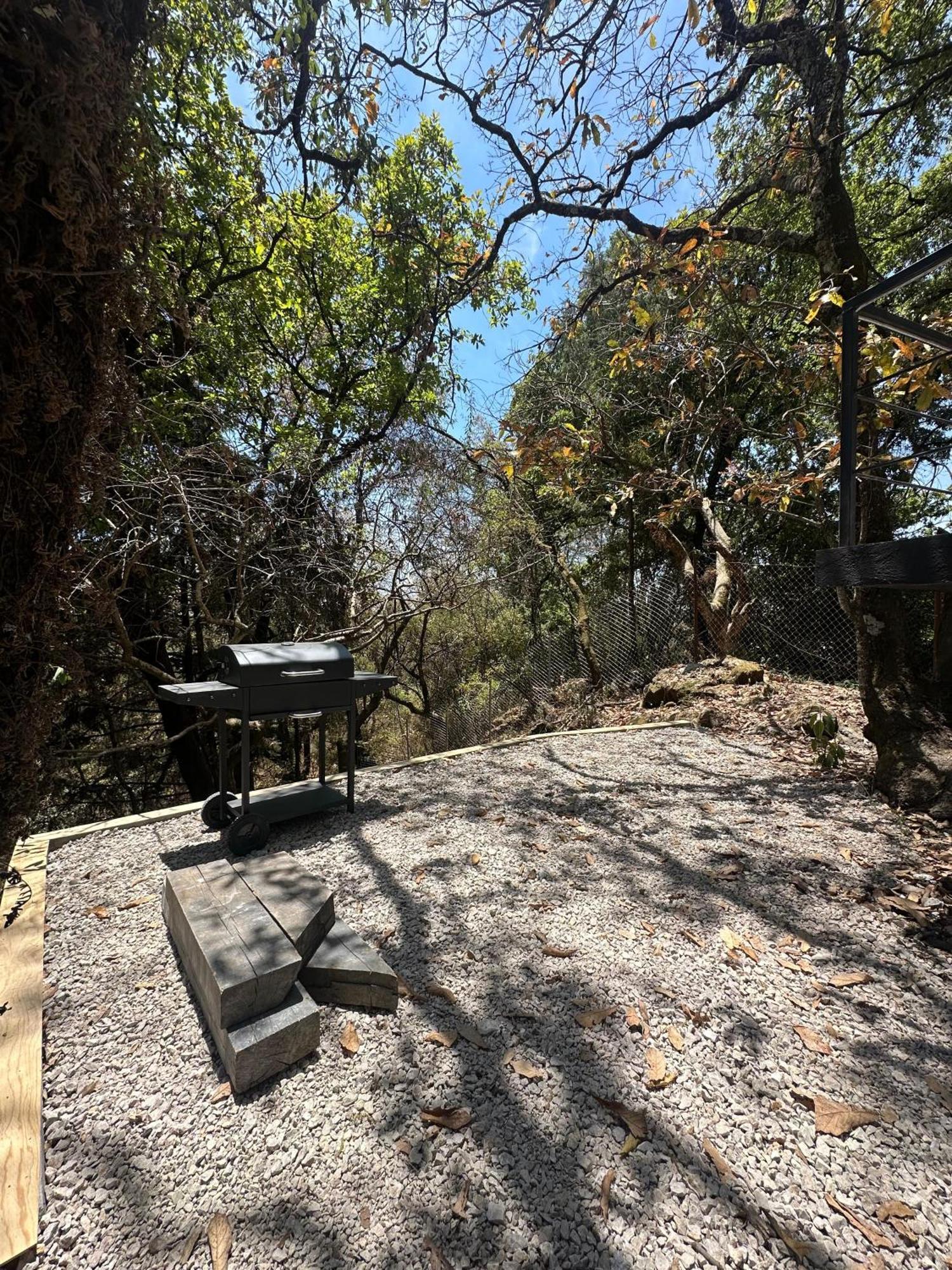 Grasshopper Campsite *