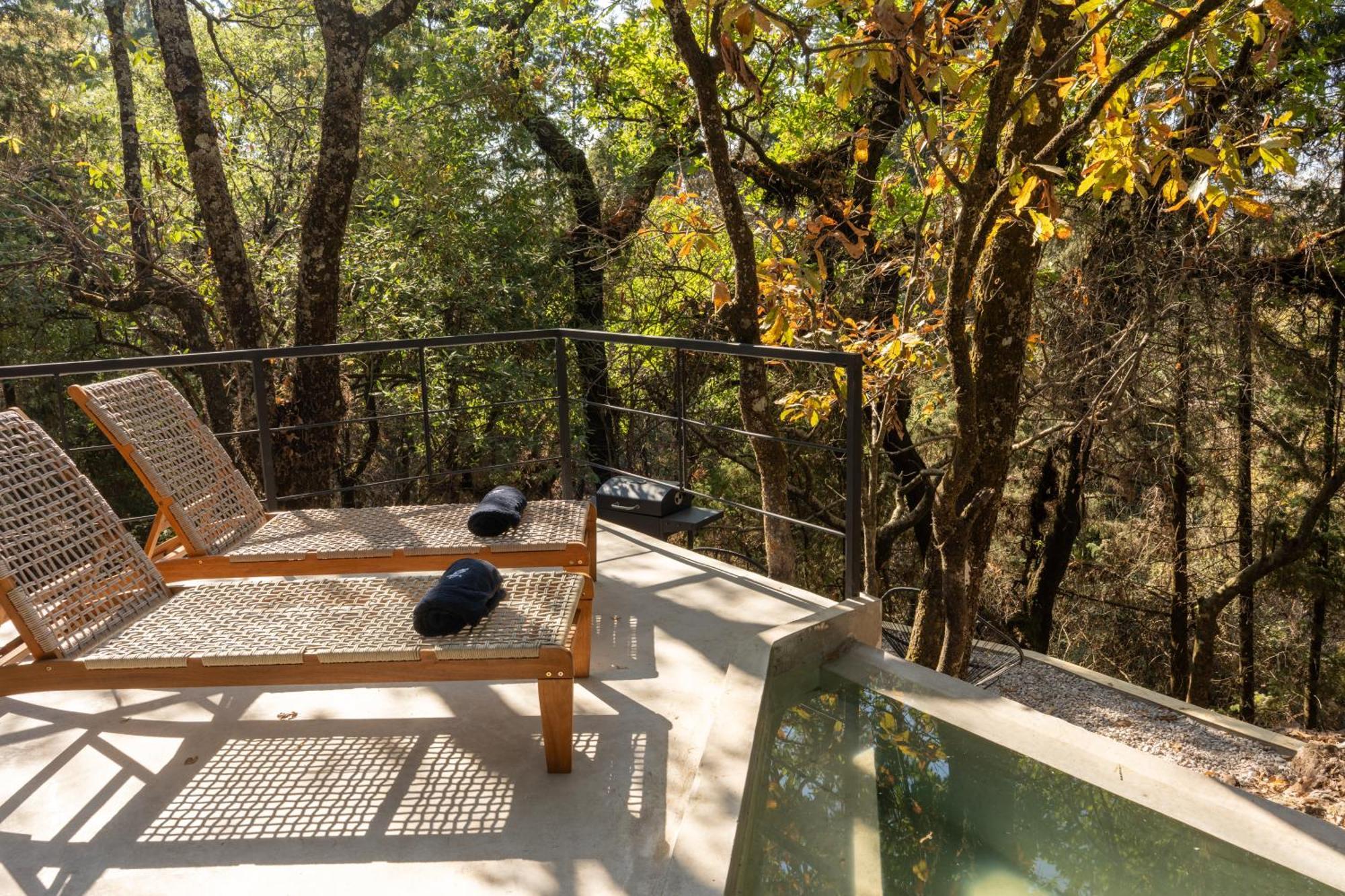Grasshopper Campsite Cuautla (Morelos)