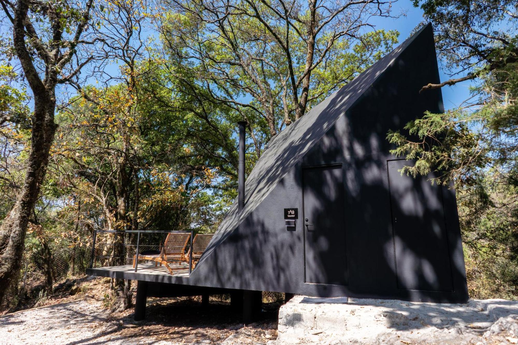 Campsite Grasshopper Cuautla (Morelos)