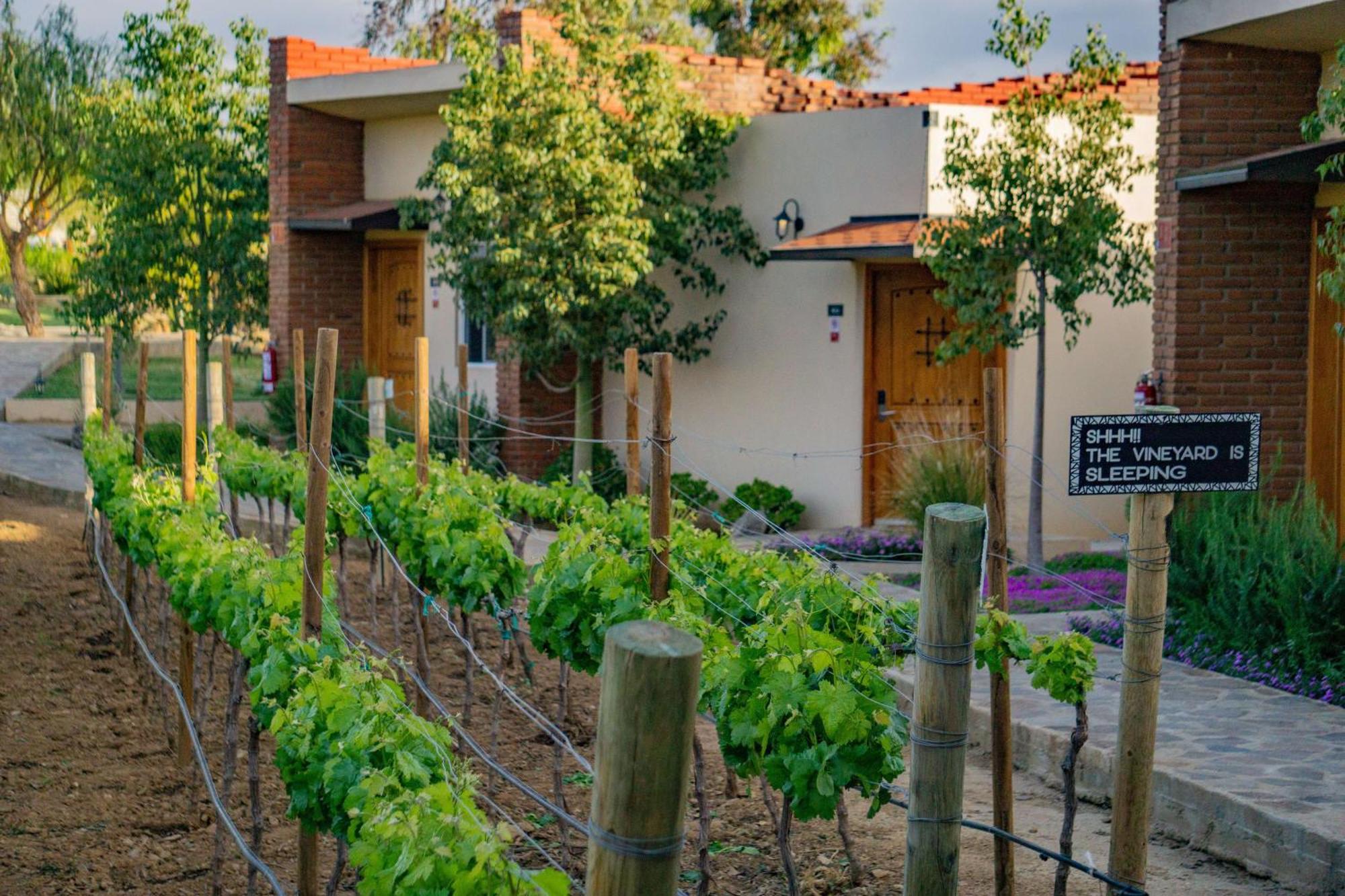 Hotel Ojo Azul Valle de Guadalupe