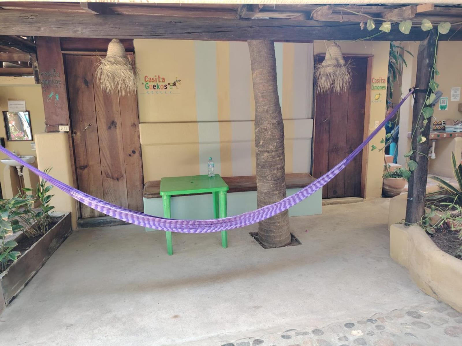 Guest house Punta Mar